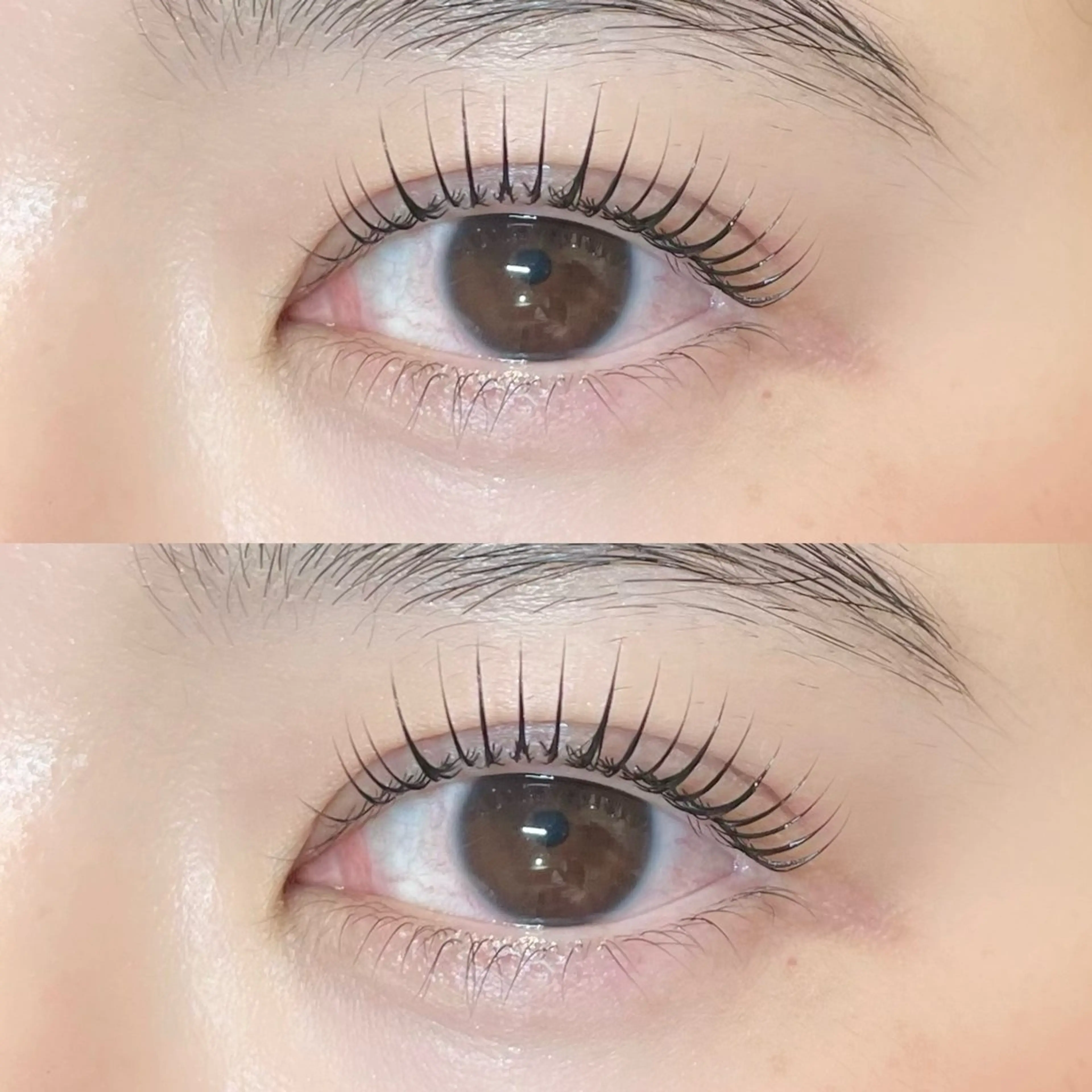 ใใใจใฏใปใใใ ๐๐๐๐๐ ๆ่ฑใฎใใใจใฏใปใใใใใถใคใณ