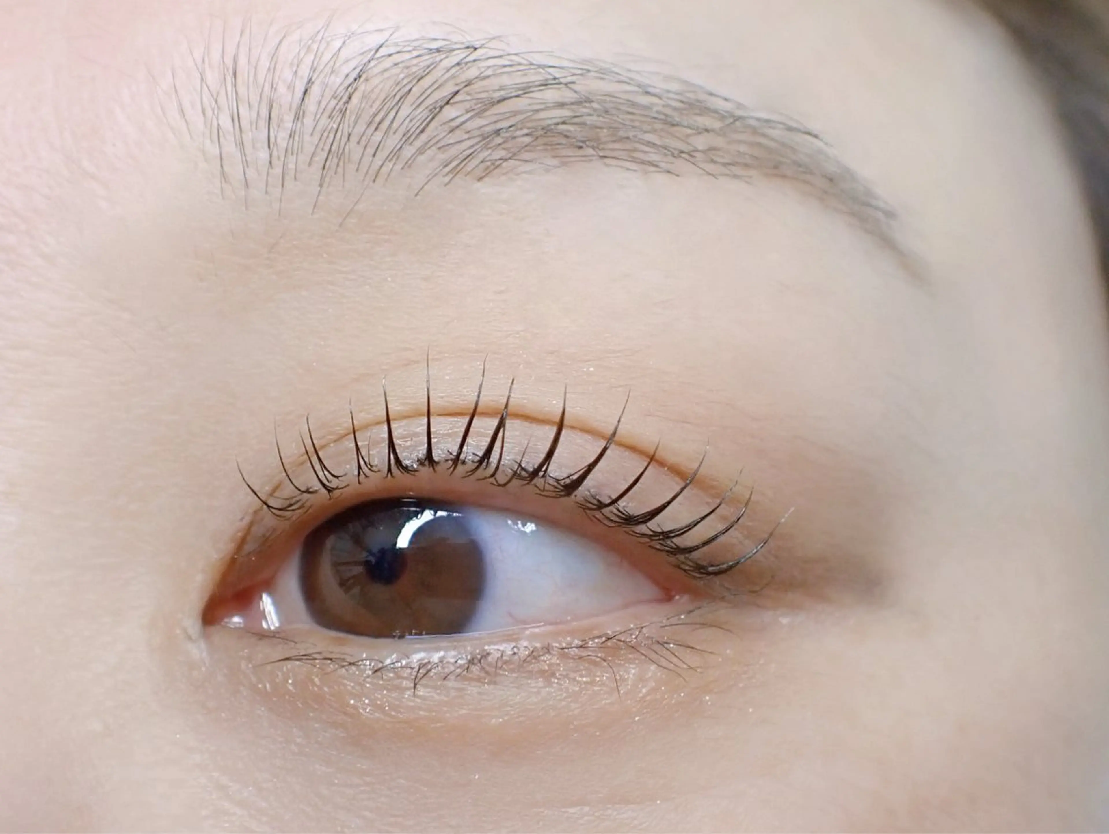(オフなし限定)まつげパーマ、眉毛アイブロウWAXスタイリングの写真