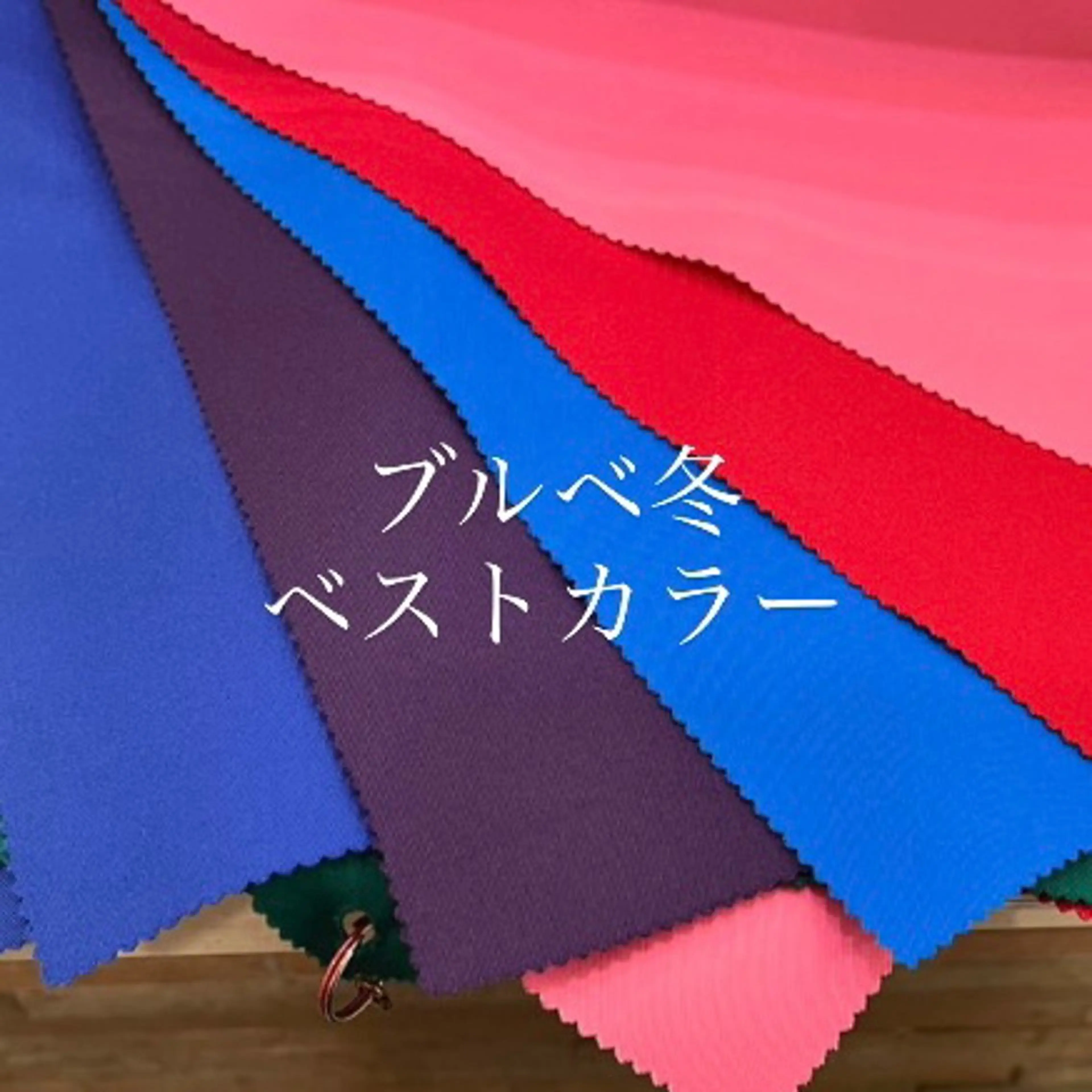 パーソナルカラー診断 骨格診断 垢抜けhair / 似合わせ診断🌞スズのその他イメージ