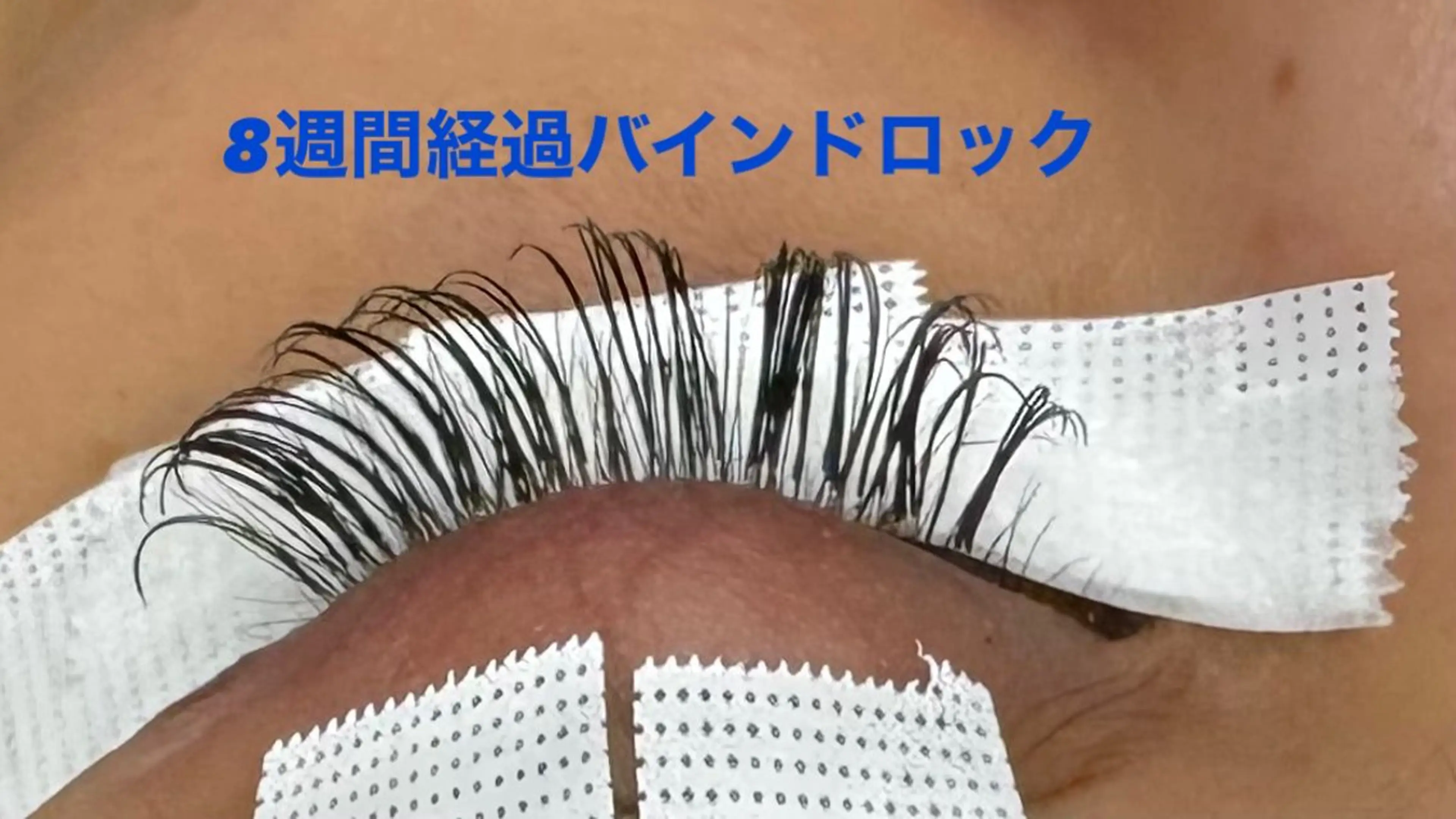 マツエク・マツパ マツエク TReiS所属・TReiS eyelashのマツエク・マツパデザイン
