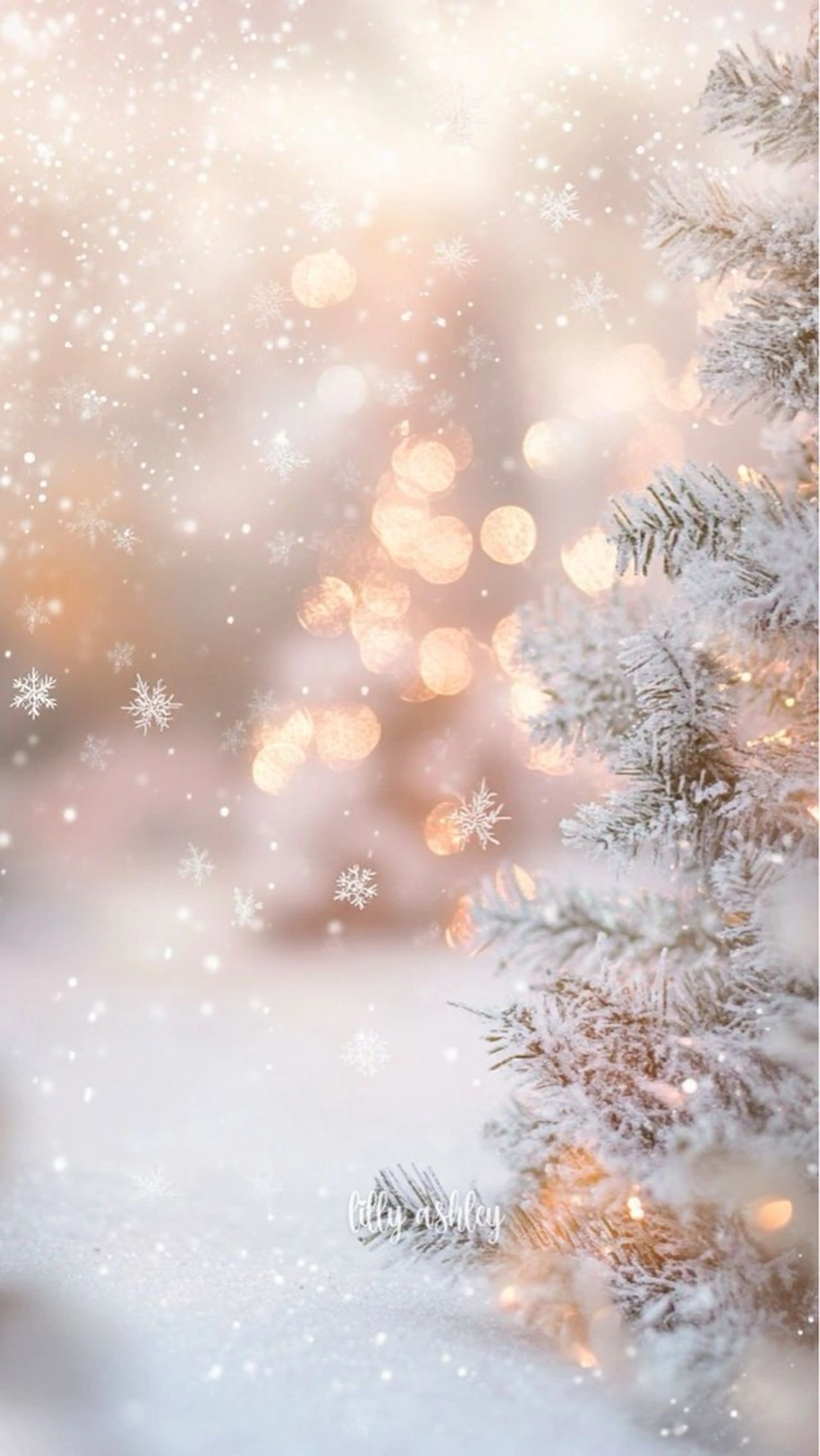 ネイル asuka 🐰のネイルデザイン