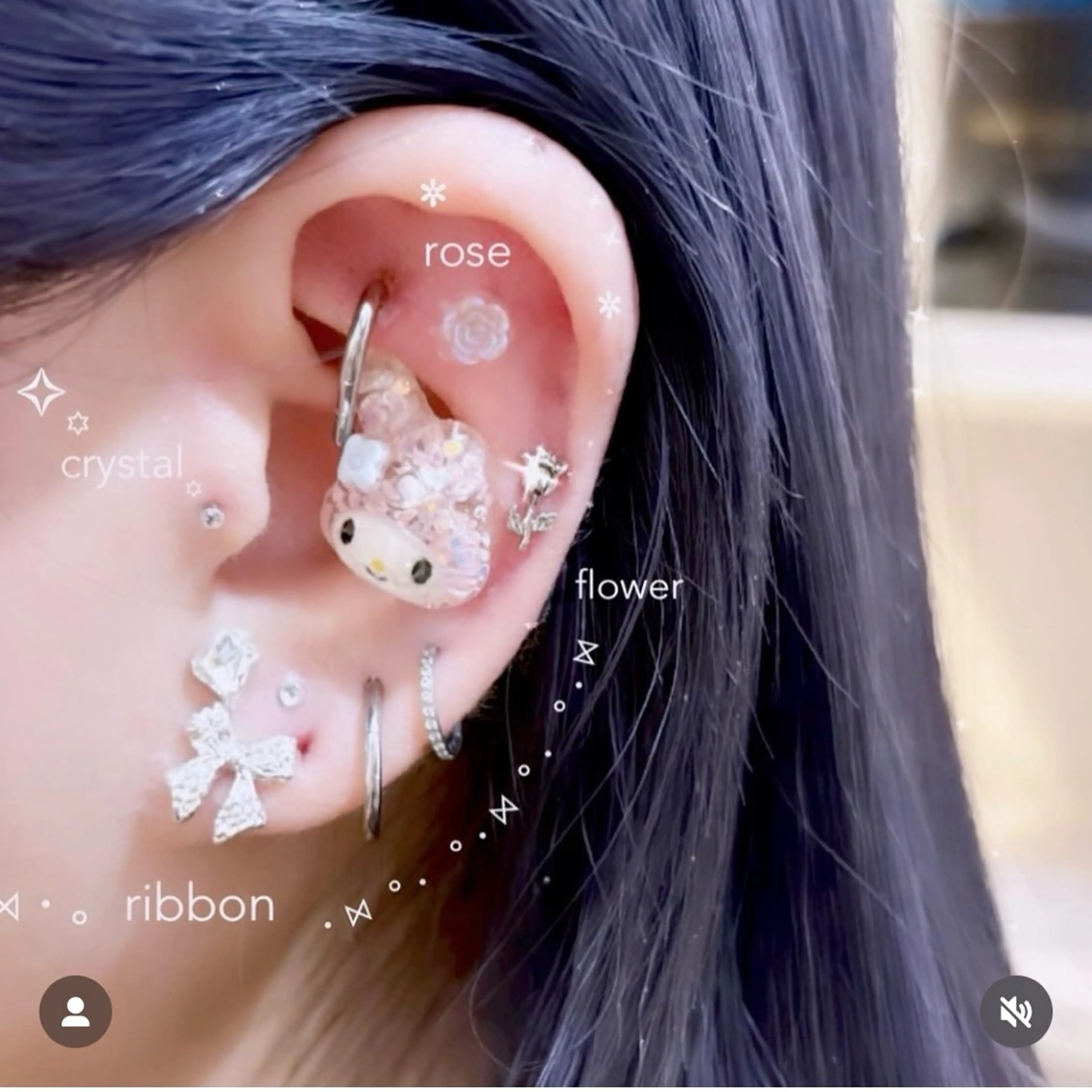 耳ツボジュエリー💎【スタンダード】両耳１４粒の写真