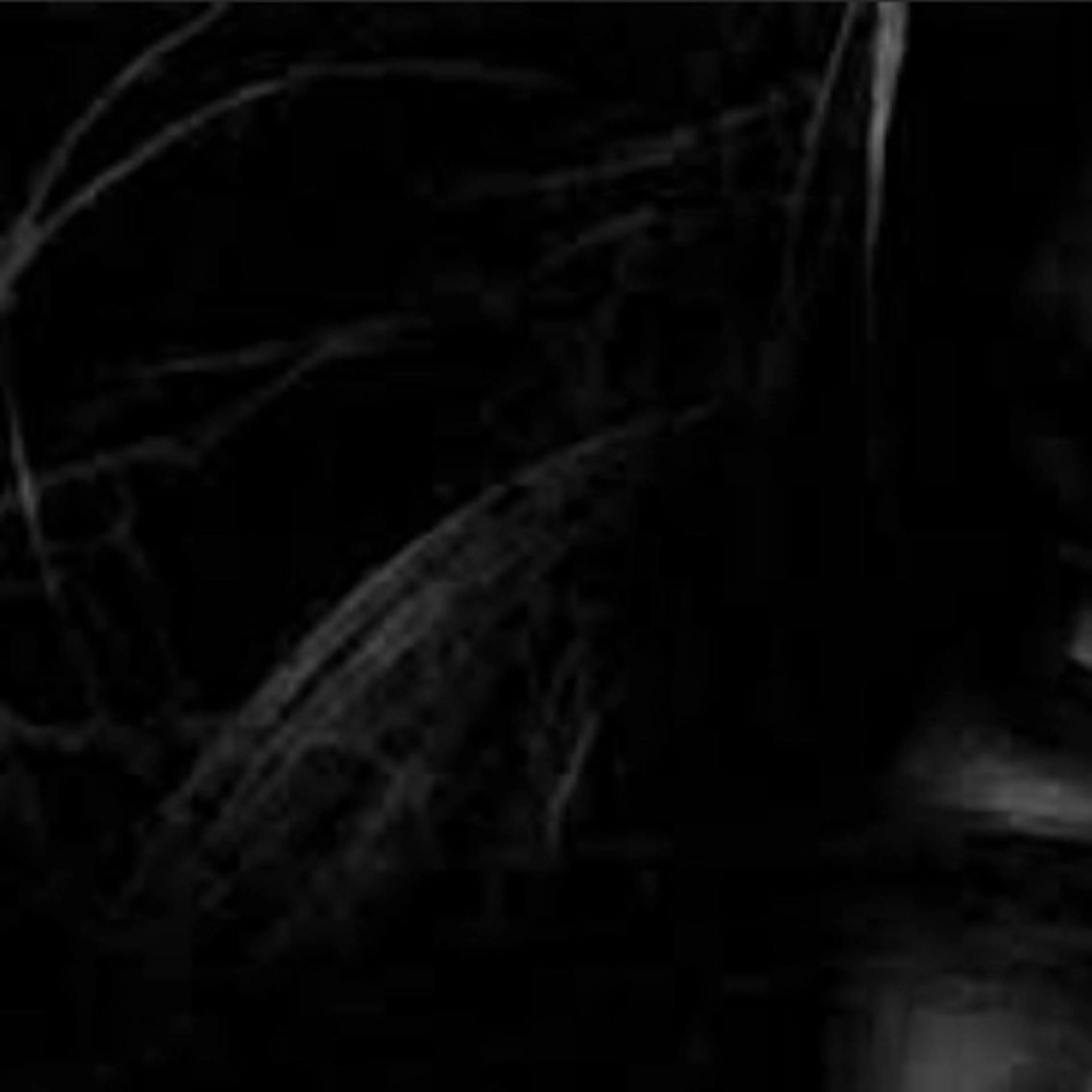 É LINDA所属・E LINDAのネイルデザイン