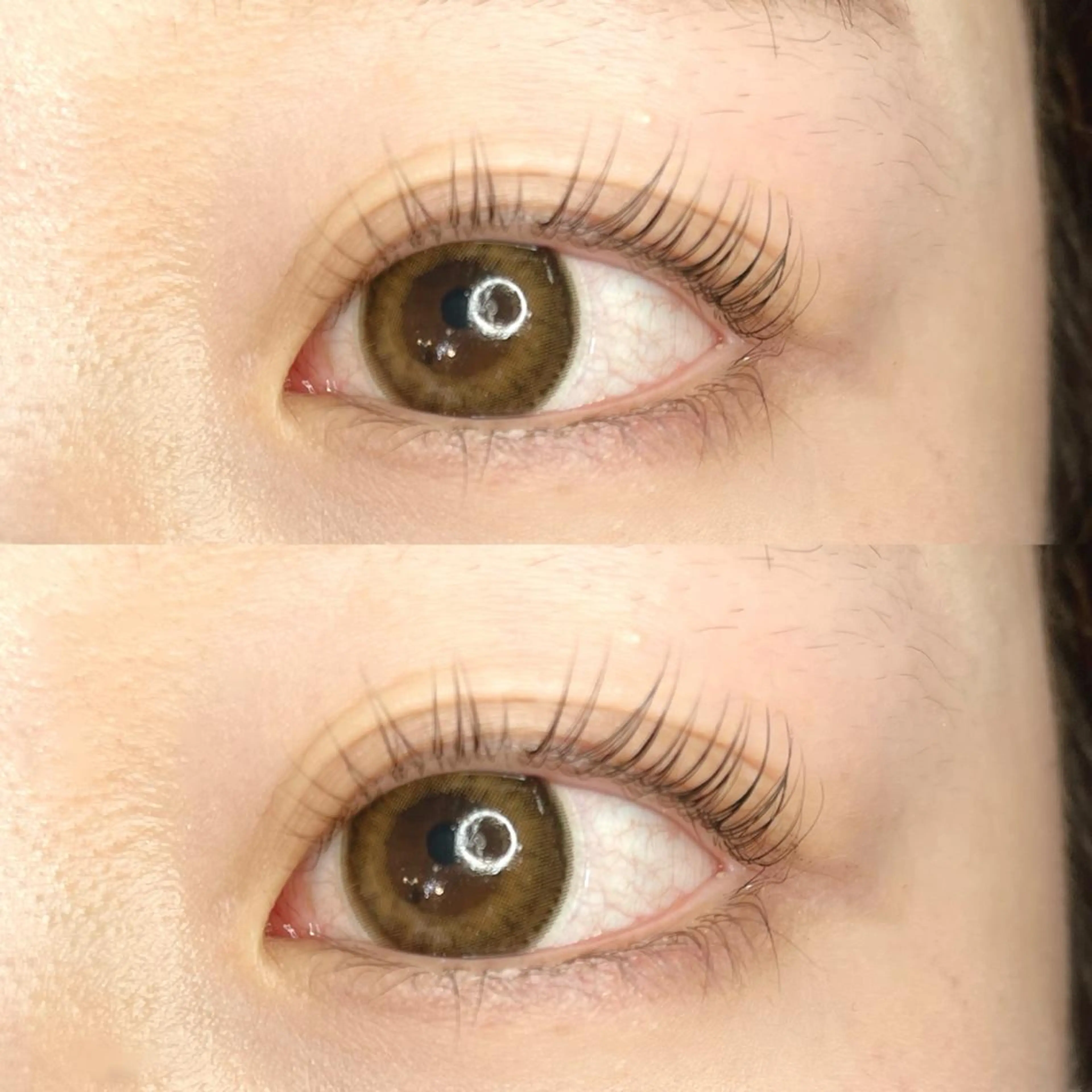 マツエク・マツパ マツパ 《eyelash ｉｉｔｅ》森のマツエク・マツパデザイン
