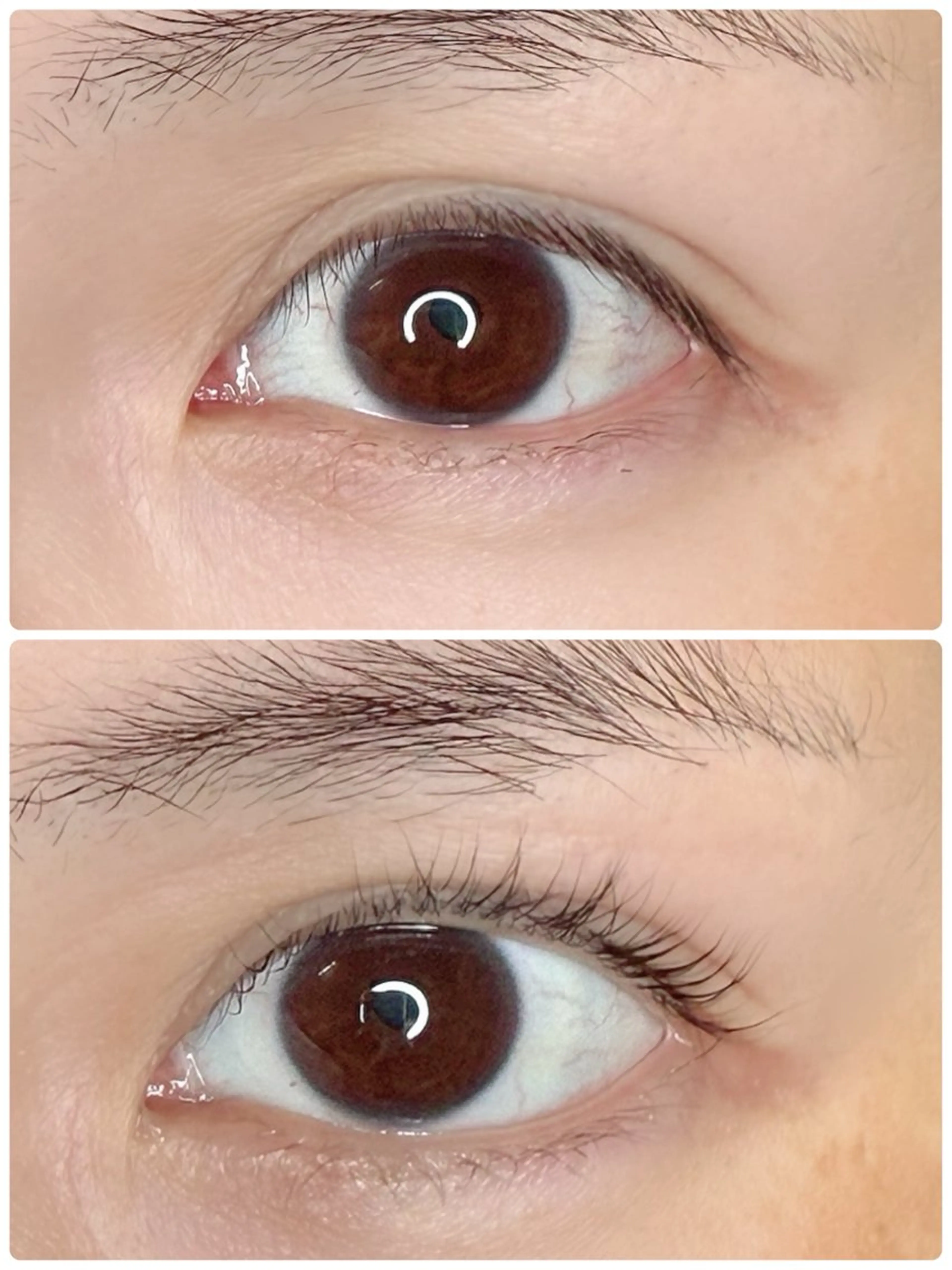 マツエク・マツパ マツパ オオヌキ ユミカのマツエク・マツパデザイン