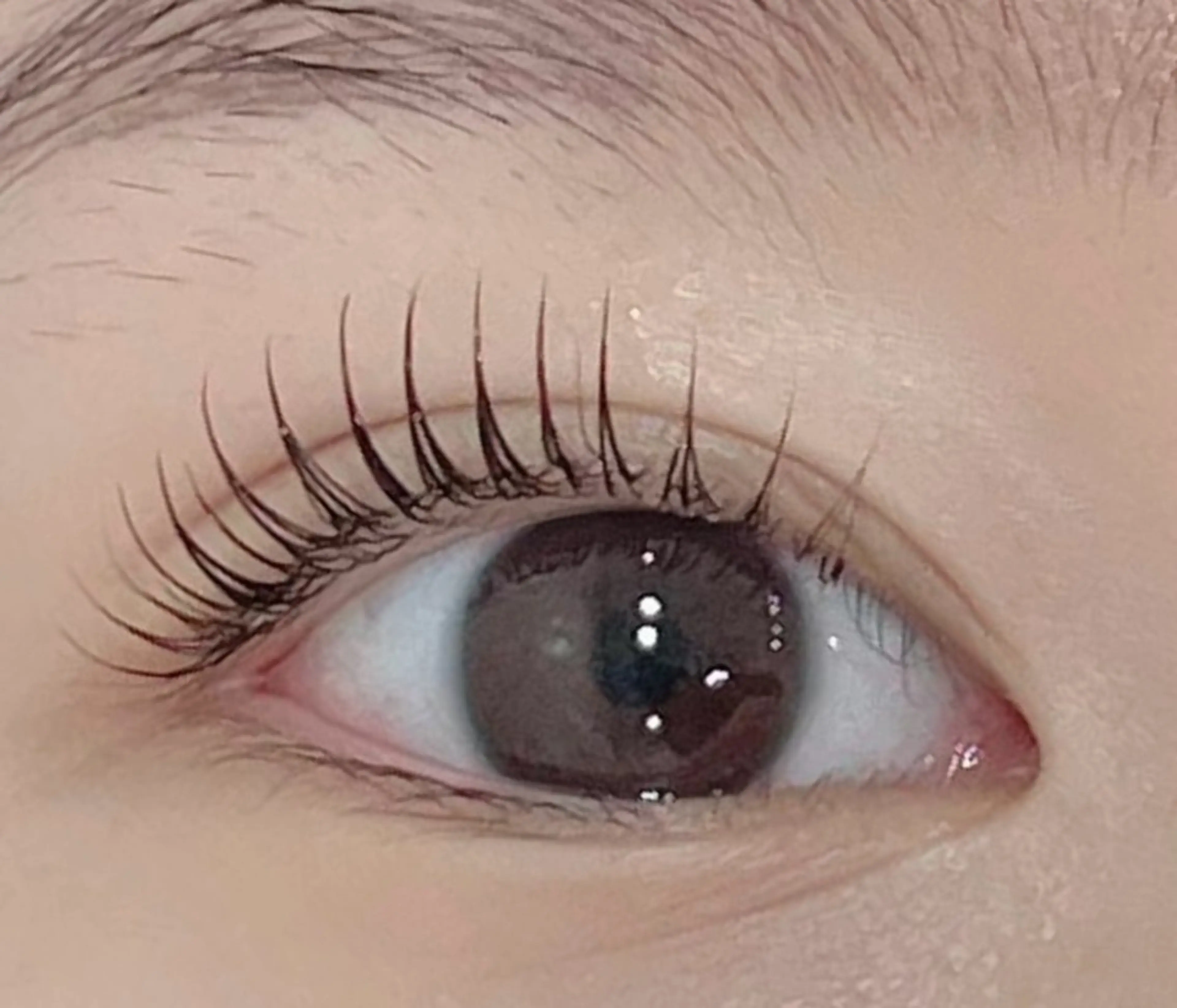 🟡パリジェンヌラッシュリフト【上】美容液付きの写真