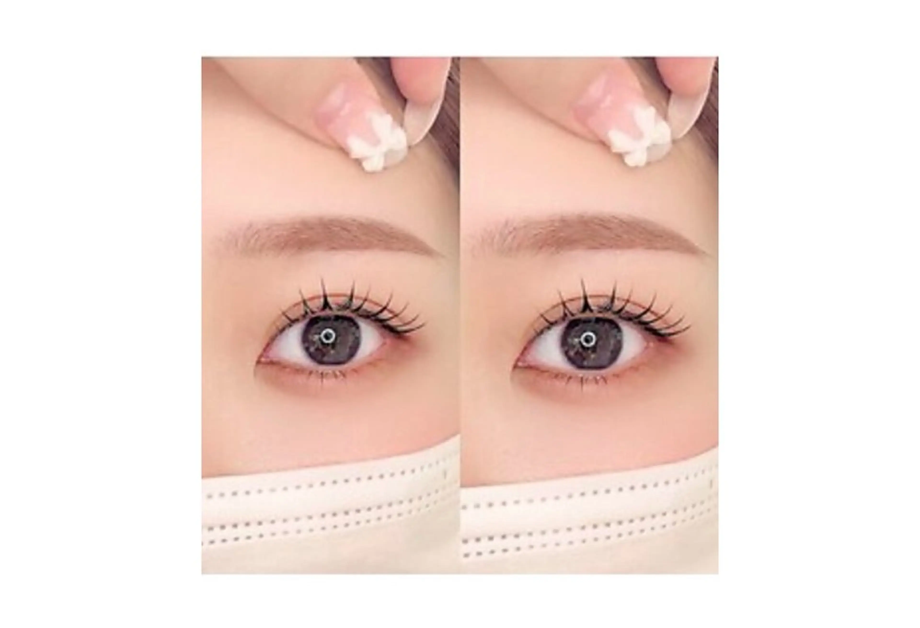 【11/15  12:30​〜​.限定】パリジェンヌ・まつげパーマの写真