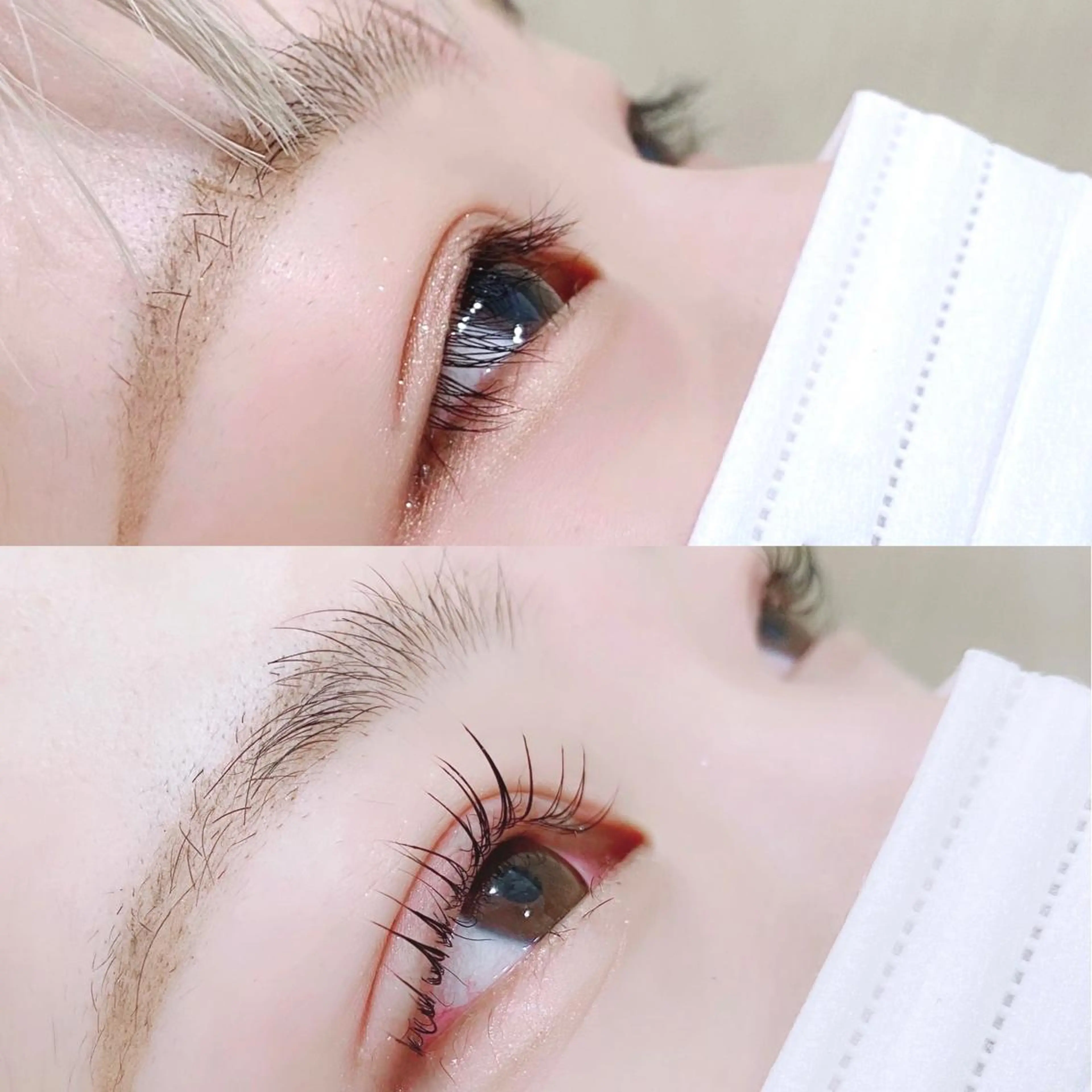 パーマ Bunny eyes　藤野の眉毛・アイブロウイメージ