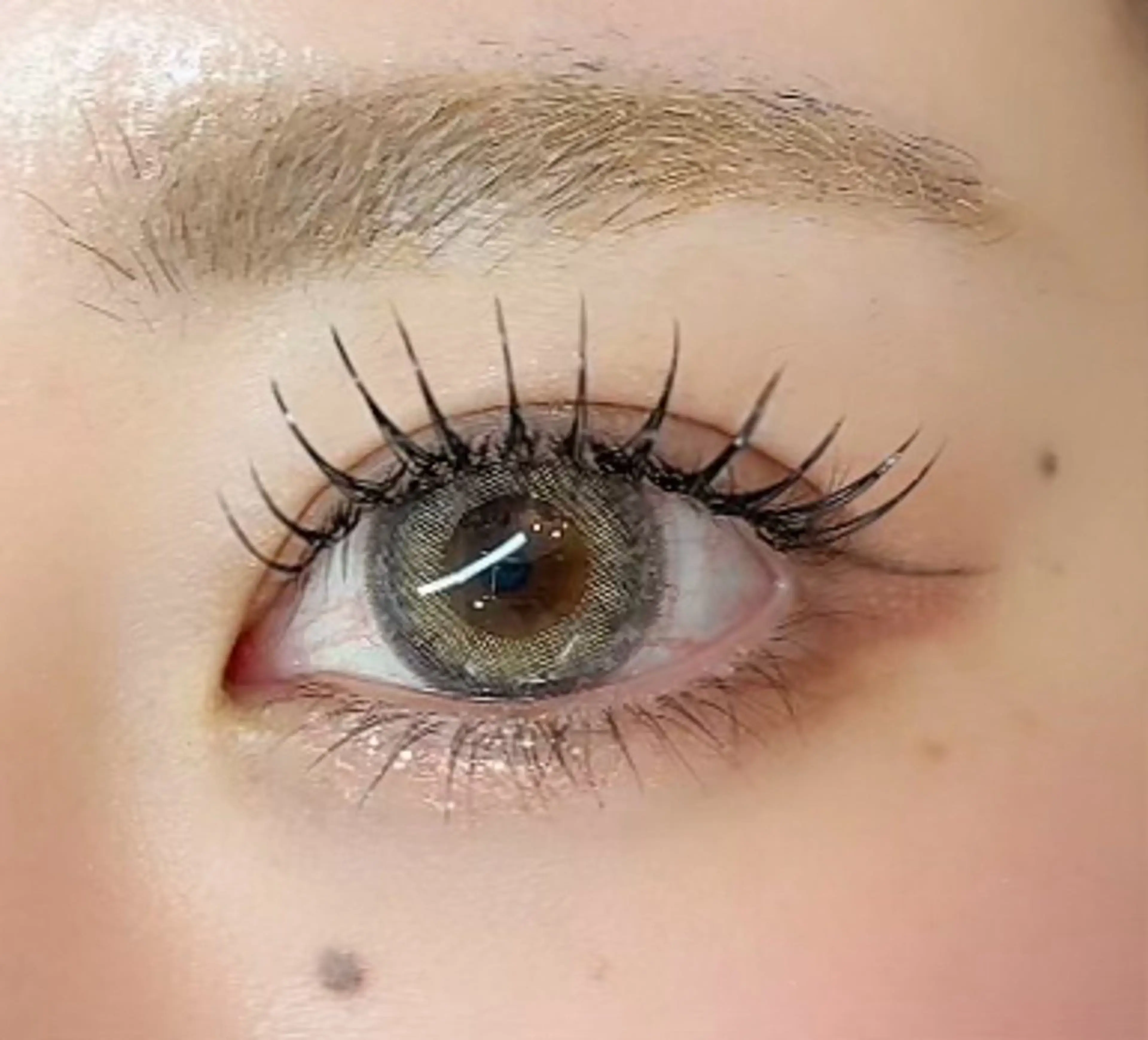 マツエク・マツパ フラットラッシュ マツエク etre EYE/BROW所属・etré(エトレ) SHIORI🌷のマツエク・マツパデザイン