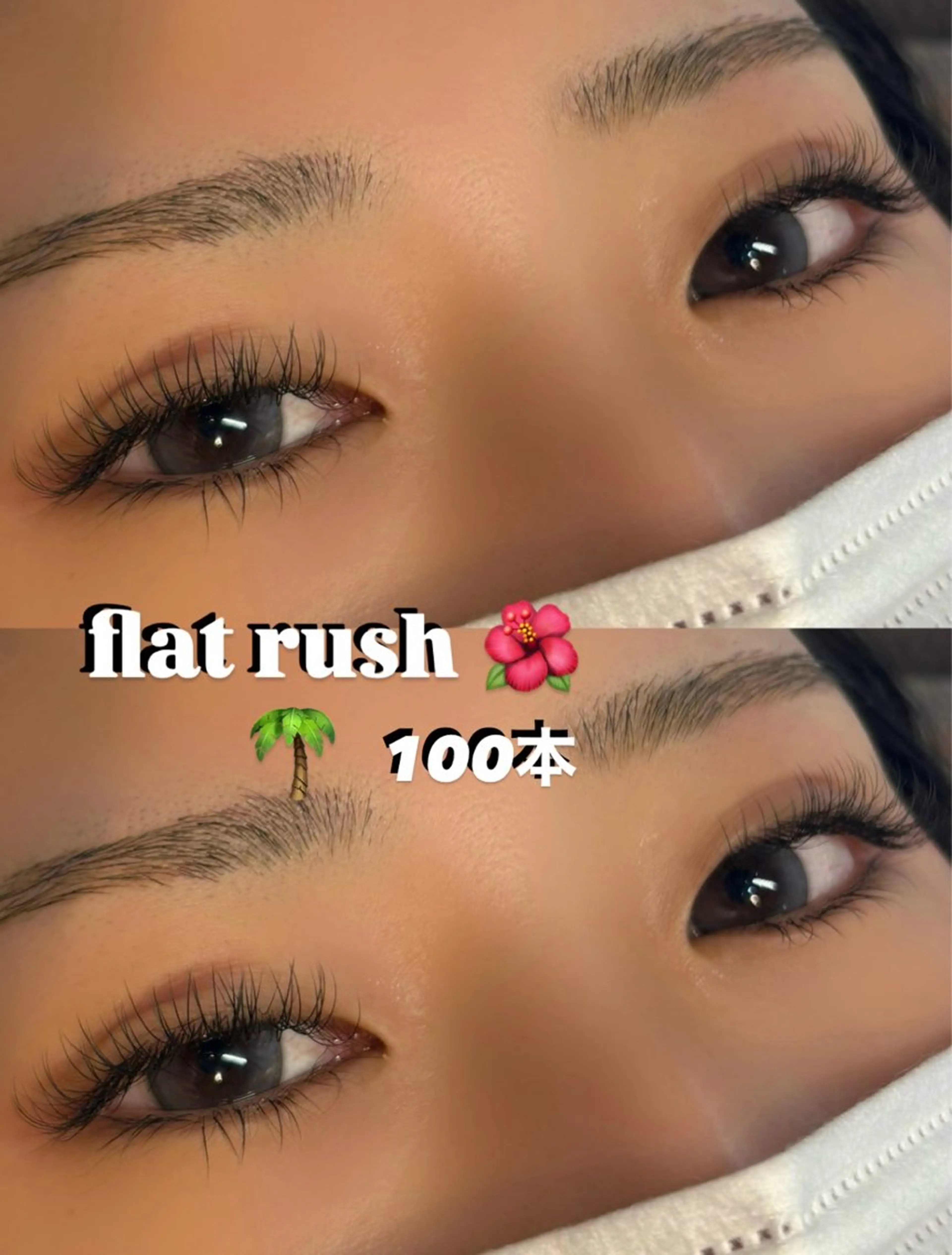 ãããšã¯ã»ããã ððŒSOL seinaððŒã®ãããšã¯ã»ããããã¶ã€ã³