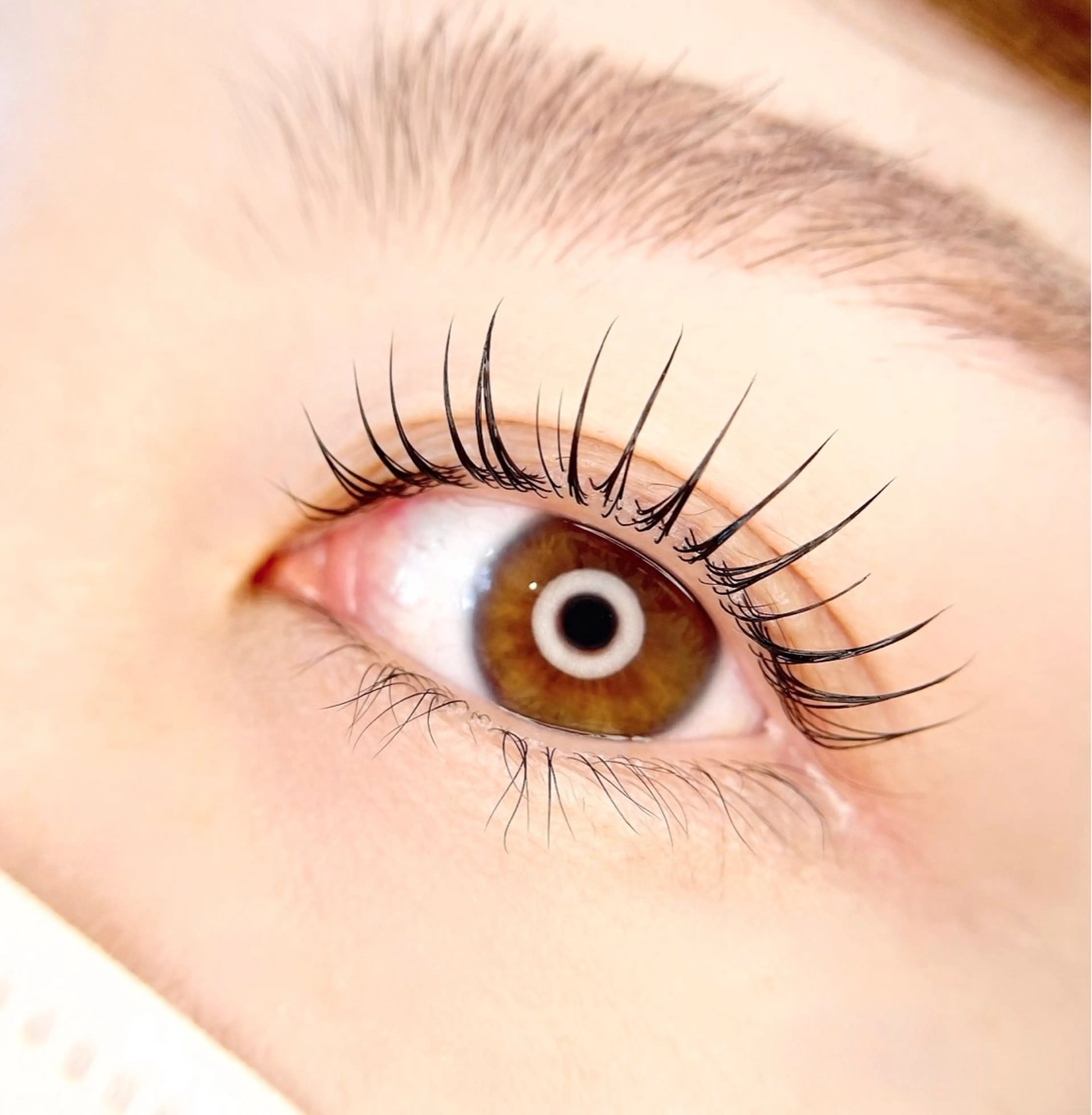 マツエク・マツパ マツパ eyelash salon.VIELのマツエク・マツパデザイン