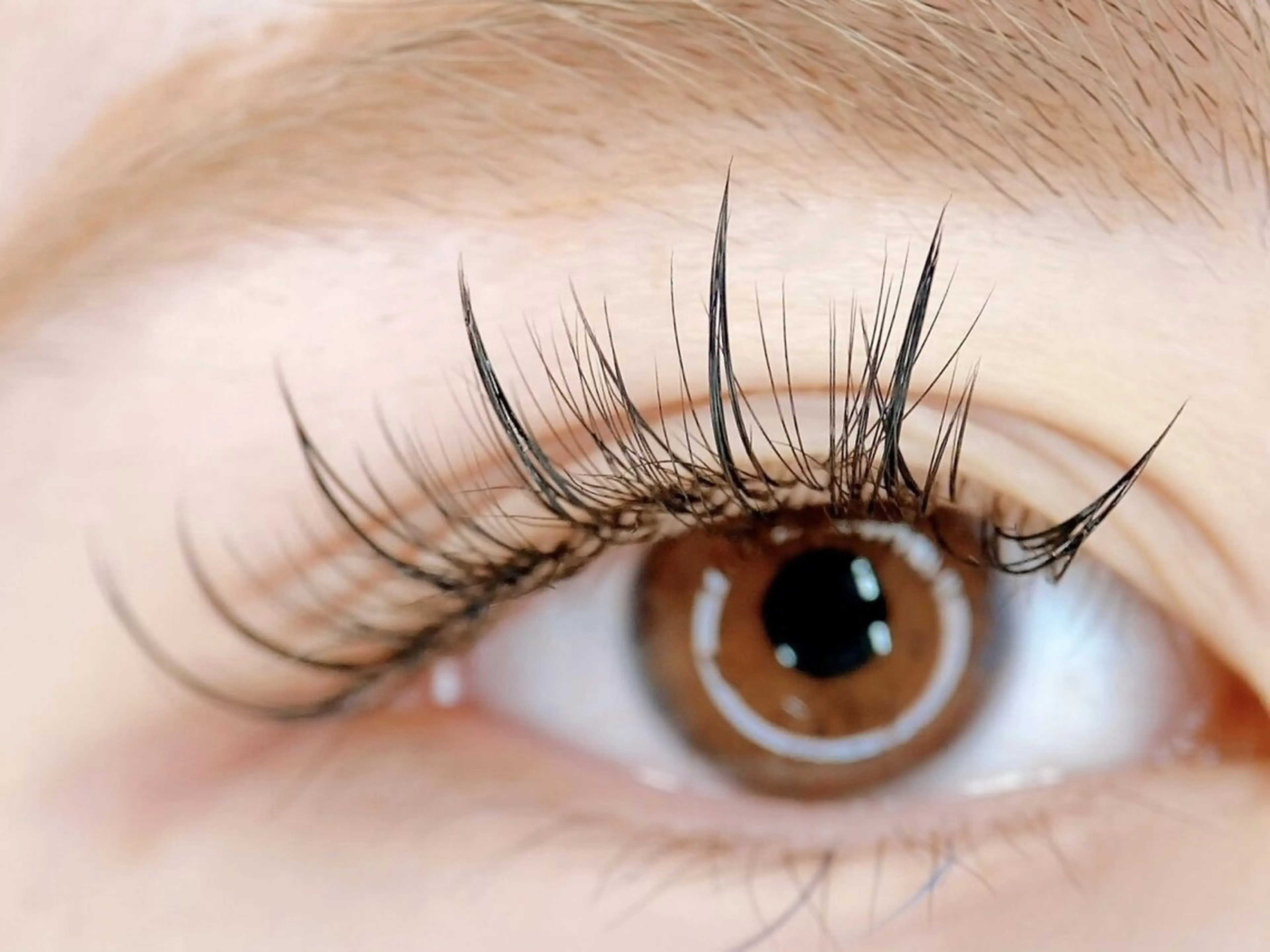 マツエク・マツパ ワンホンマツエク AYA 【eyelash】のマツエク・マツパデザイン