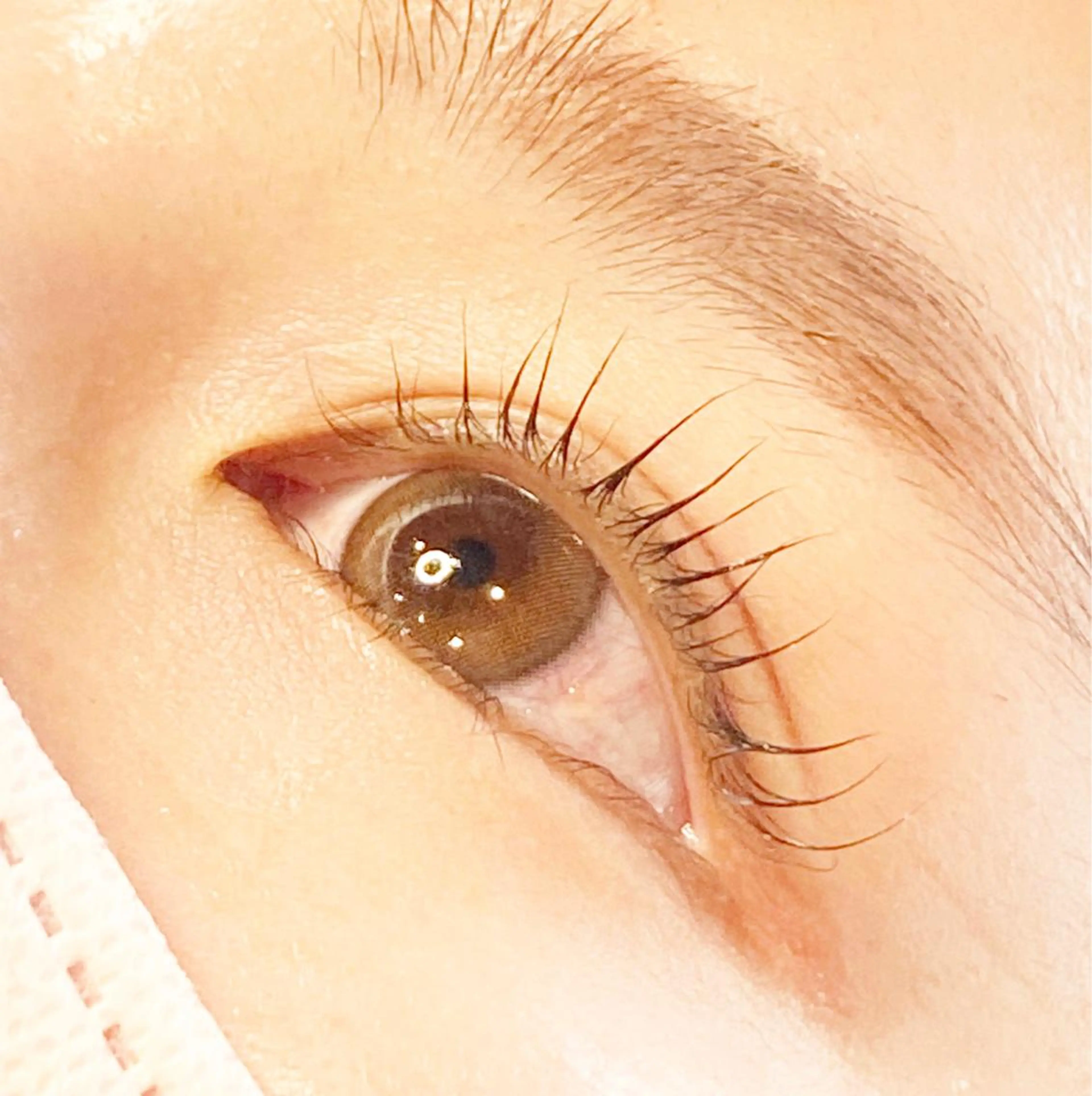 マツエク・マツパ パリジェンヌラッシュリフト Dahlia beauty新岩聖可のマツエク・マツパデザイン