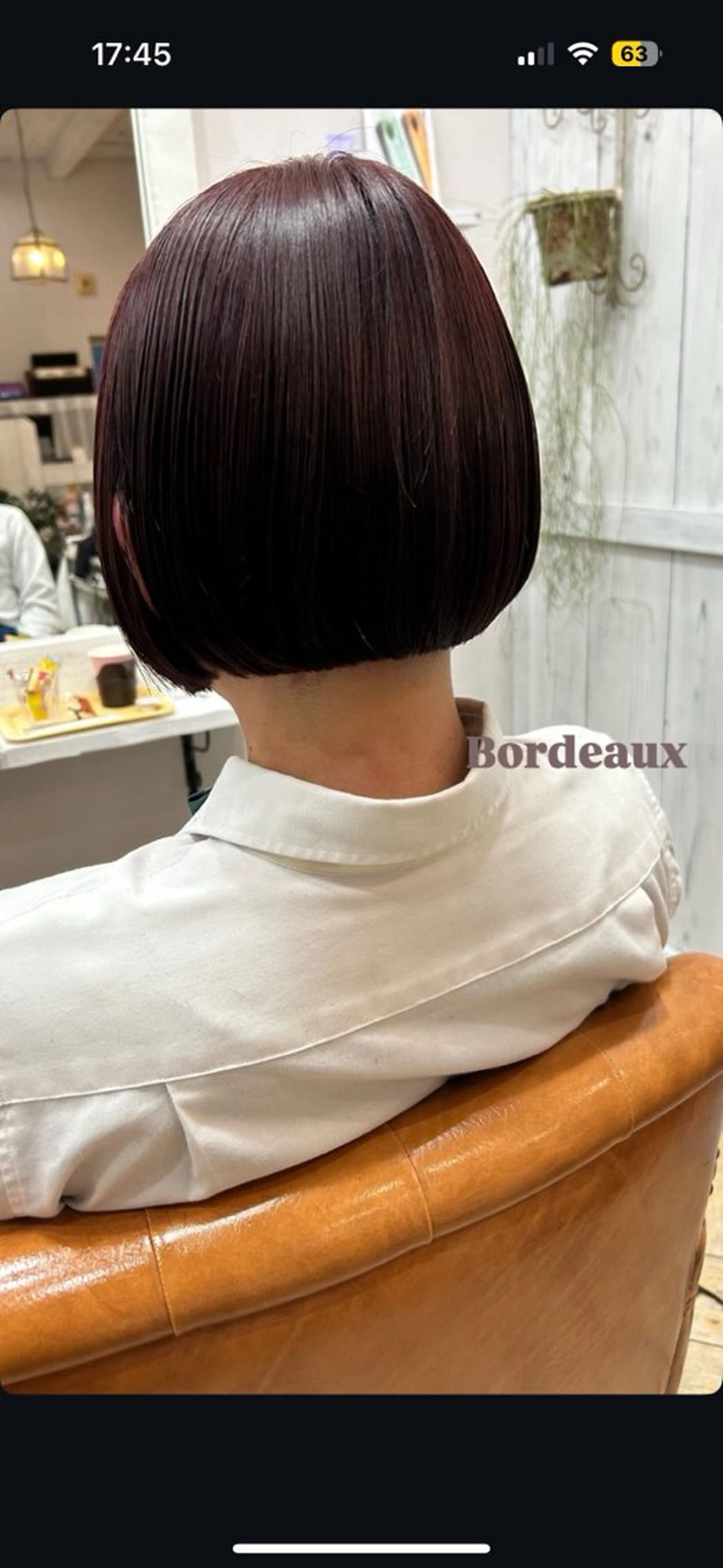 ショート カラー ヘアカラー SHIAN 🍚ゆな🍚のヘアスタイル