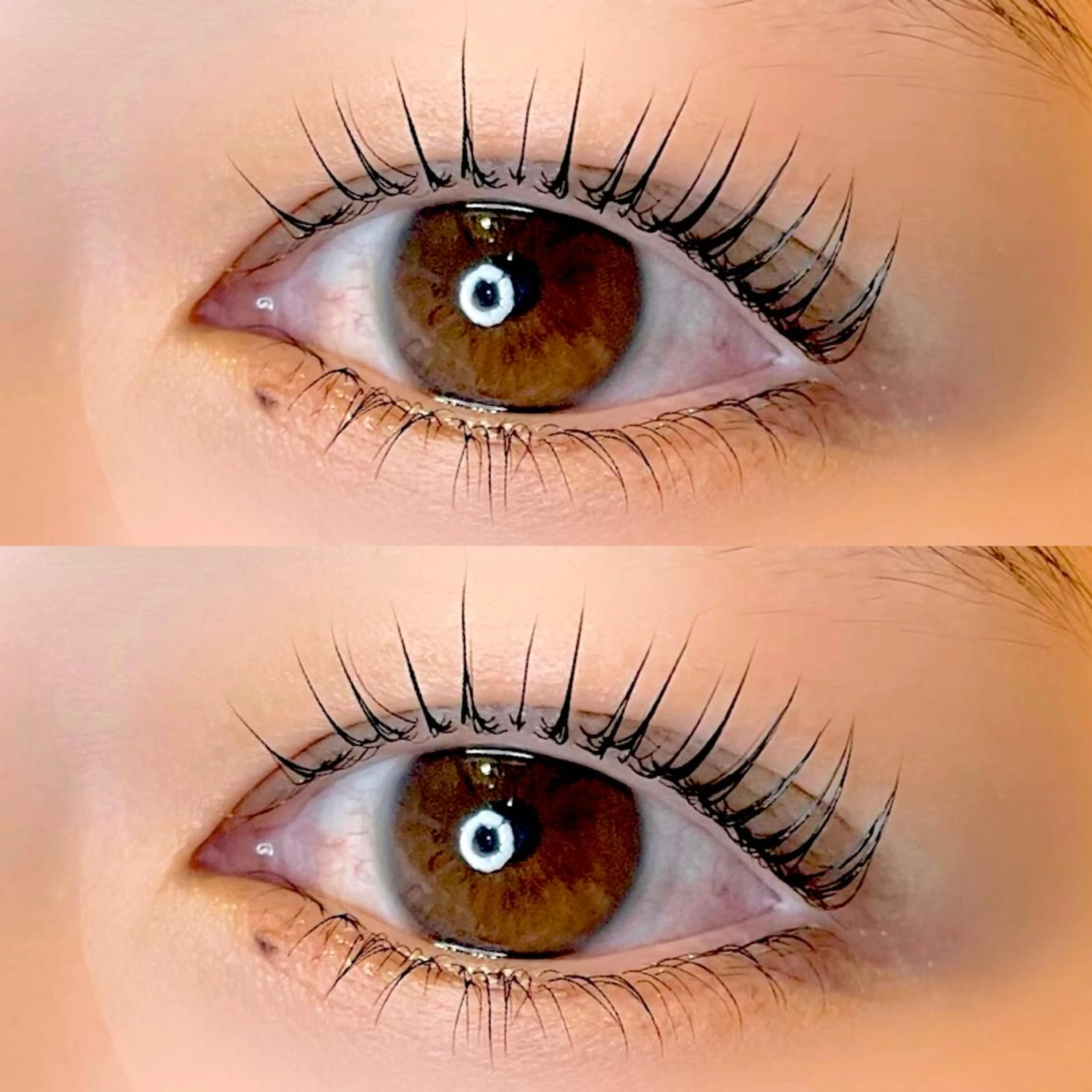 パリジェンヌラッシュリフト【上下】アイシャンプー+トリートメント付き🤍公式薬剤使用🫧の写真