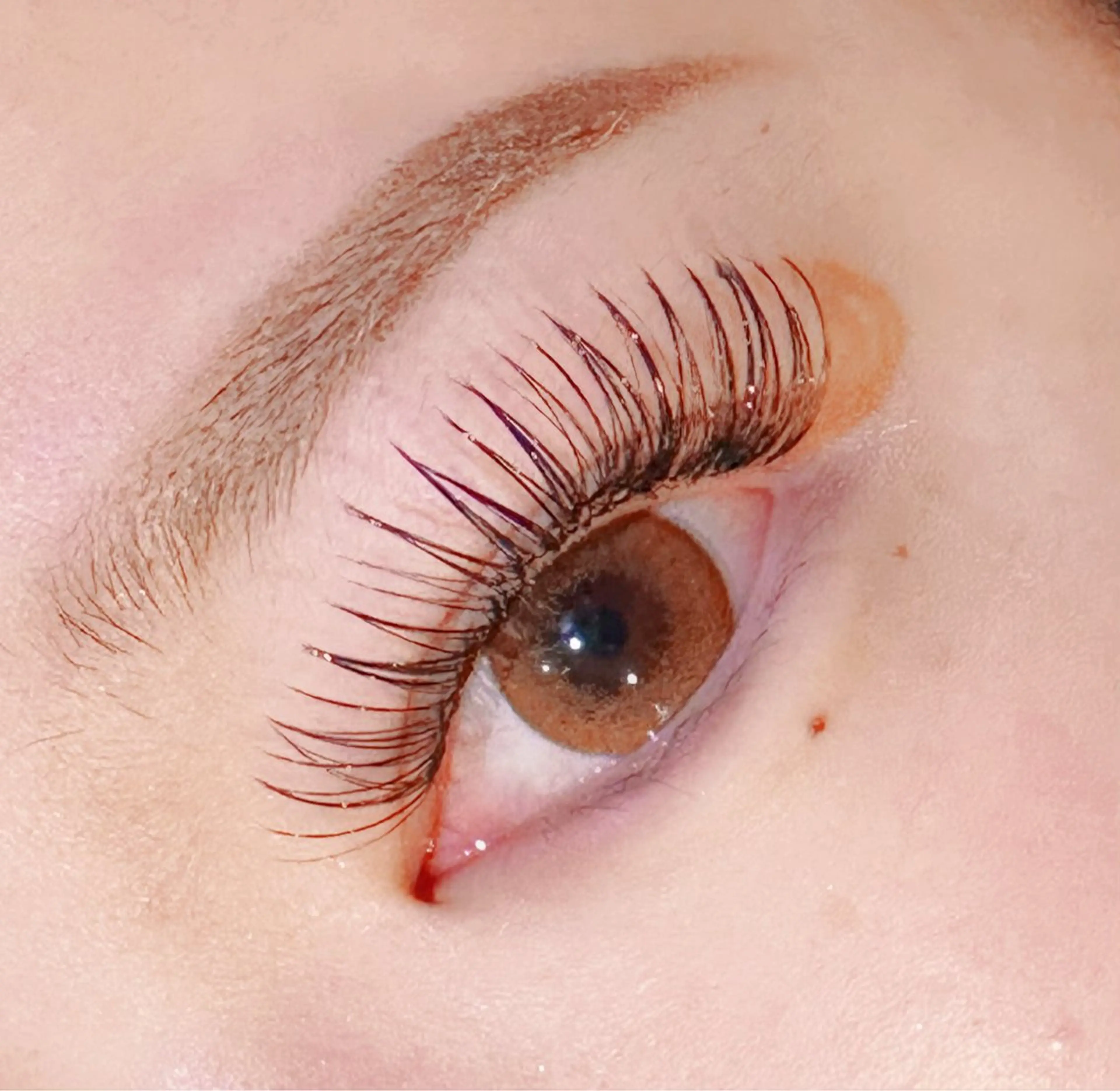 🫶ボリュームラッシュ🫶100本　（実質300本）の写真