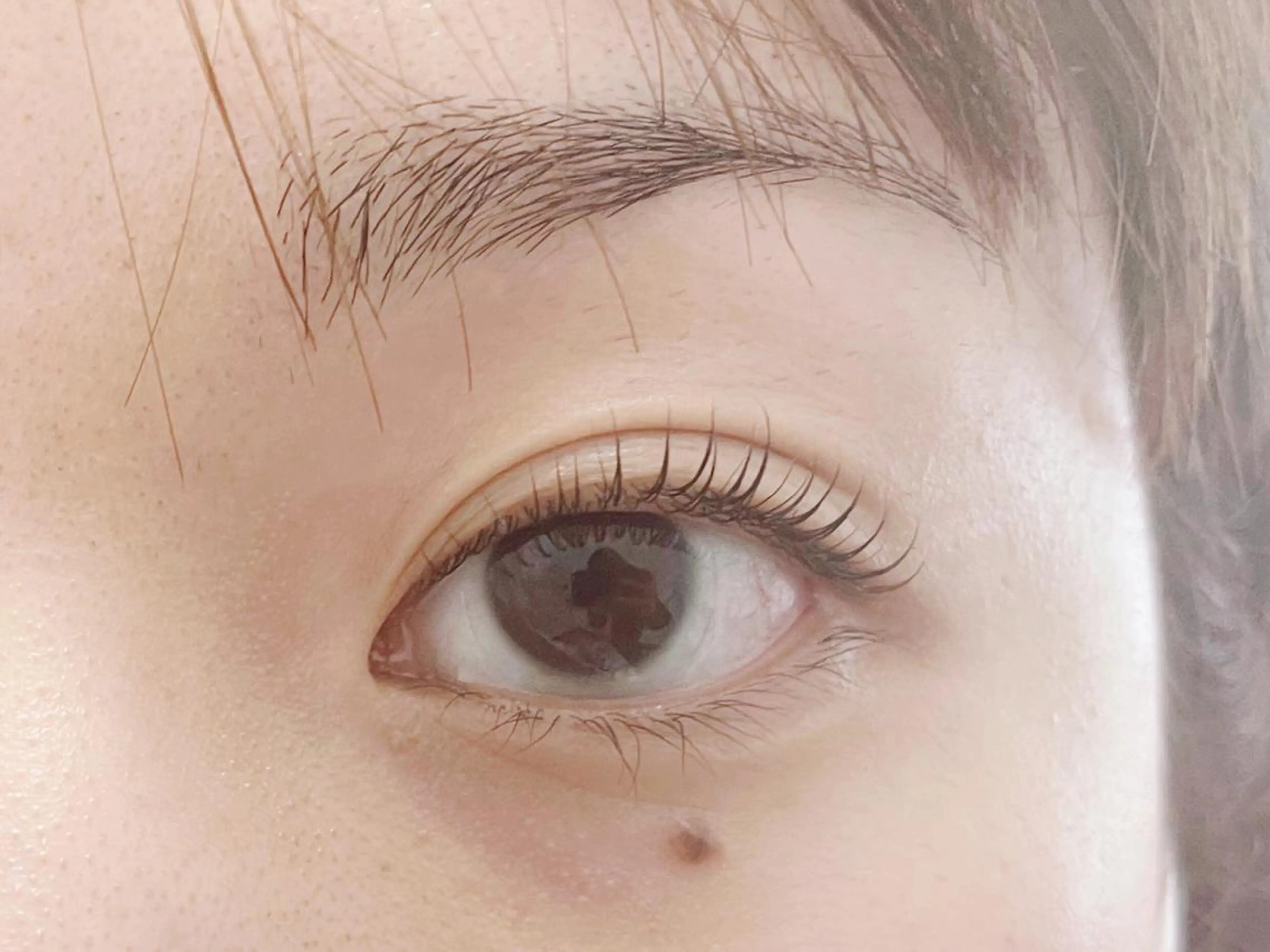 マツエク・マツパ ナチュラル eyelash momoのマツエク・マツパデザイン