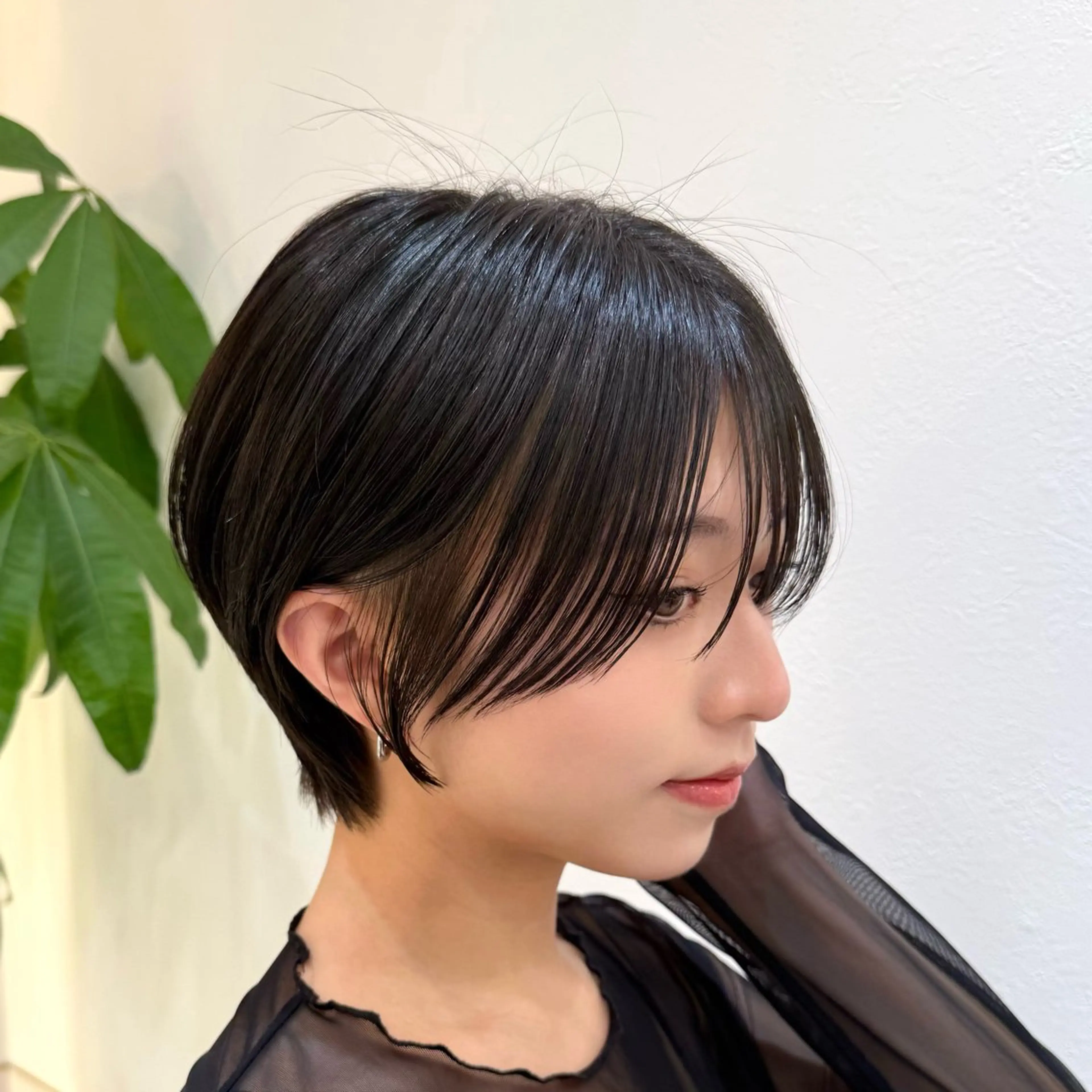 ショート カット ヘアカラー トリートメント 新宿/髪質改善/艶髪 韓国ヘア/大重聖斗のヘアスタイル