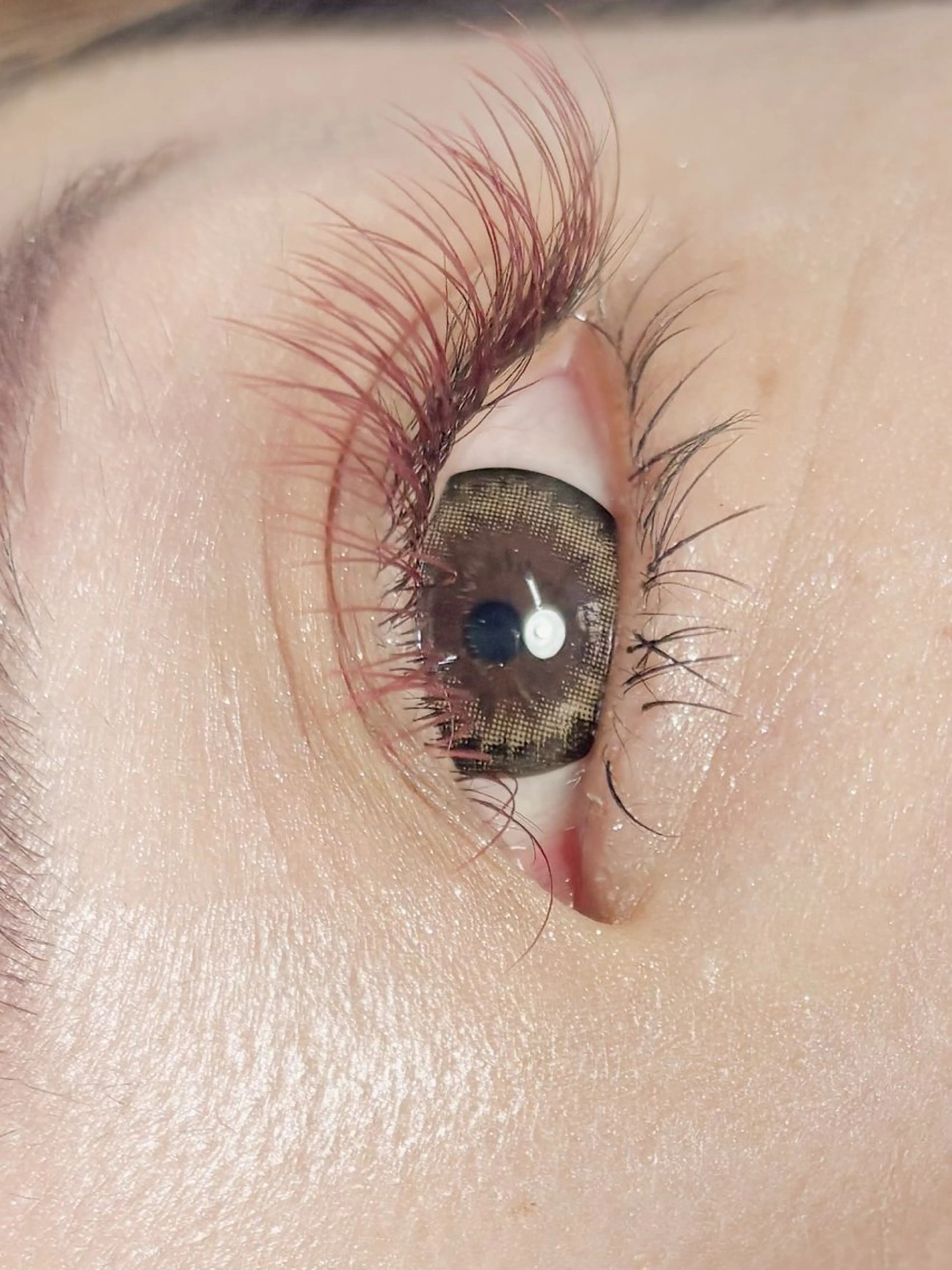 マツエク・マツパ tipsy＋ kanon 🥟🎀のマツエク・マツパデザイン