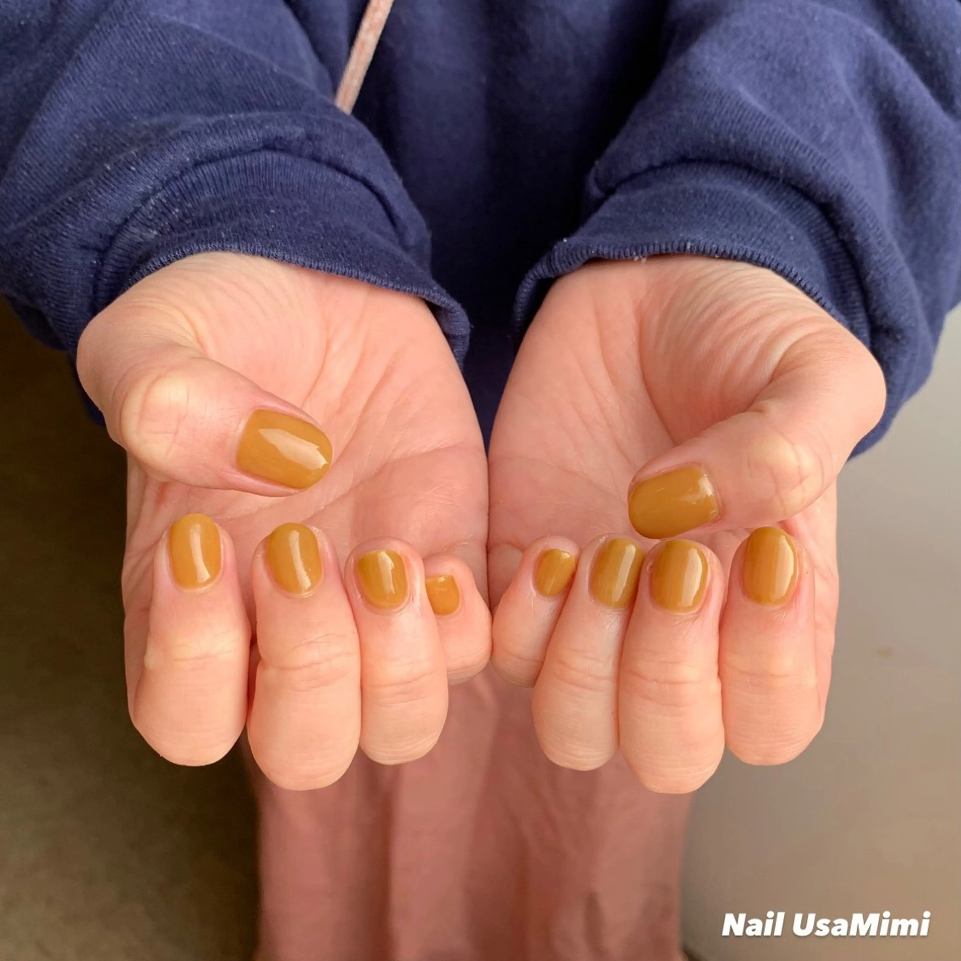 ネイル ジェルネイル マグネットネイル 持ち込み ワンカラーネイル パラジェル 本町ネイルNail UsaMimiのネイルデザイン