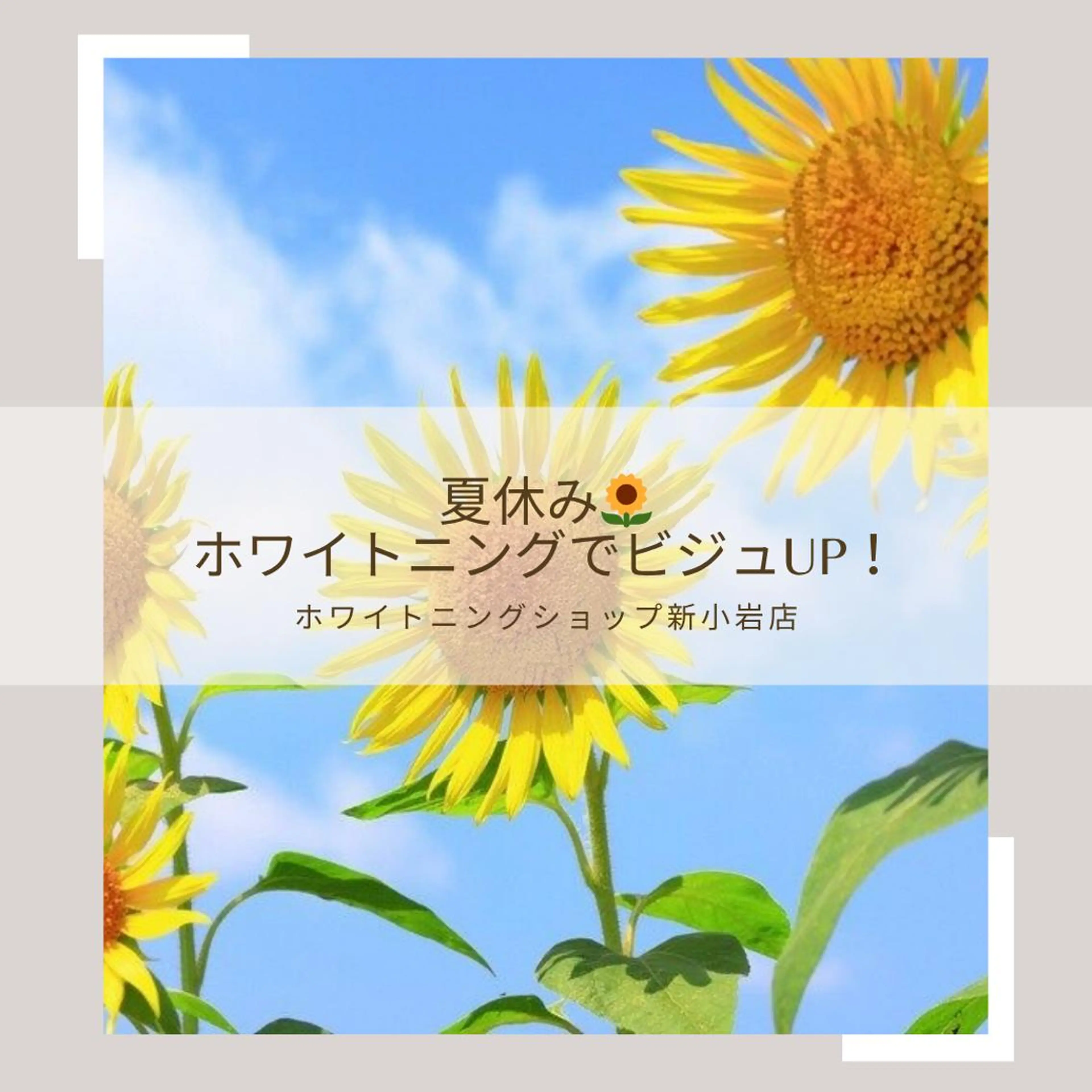 メンズ その他 ホワイトニング ショップ新小岩店のその他イメージ