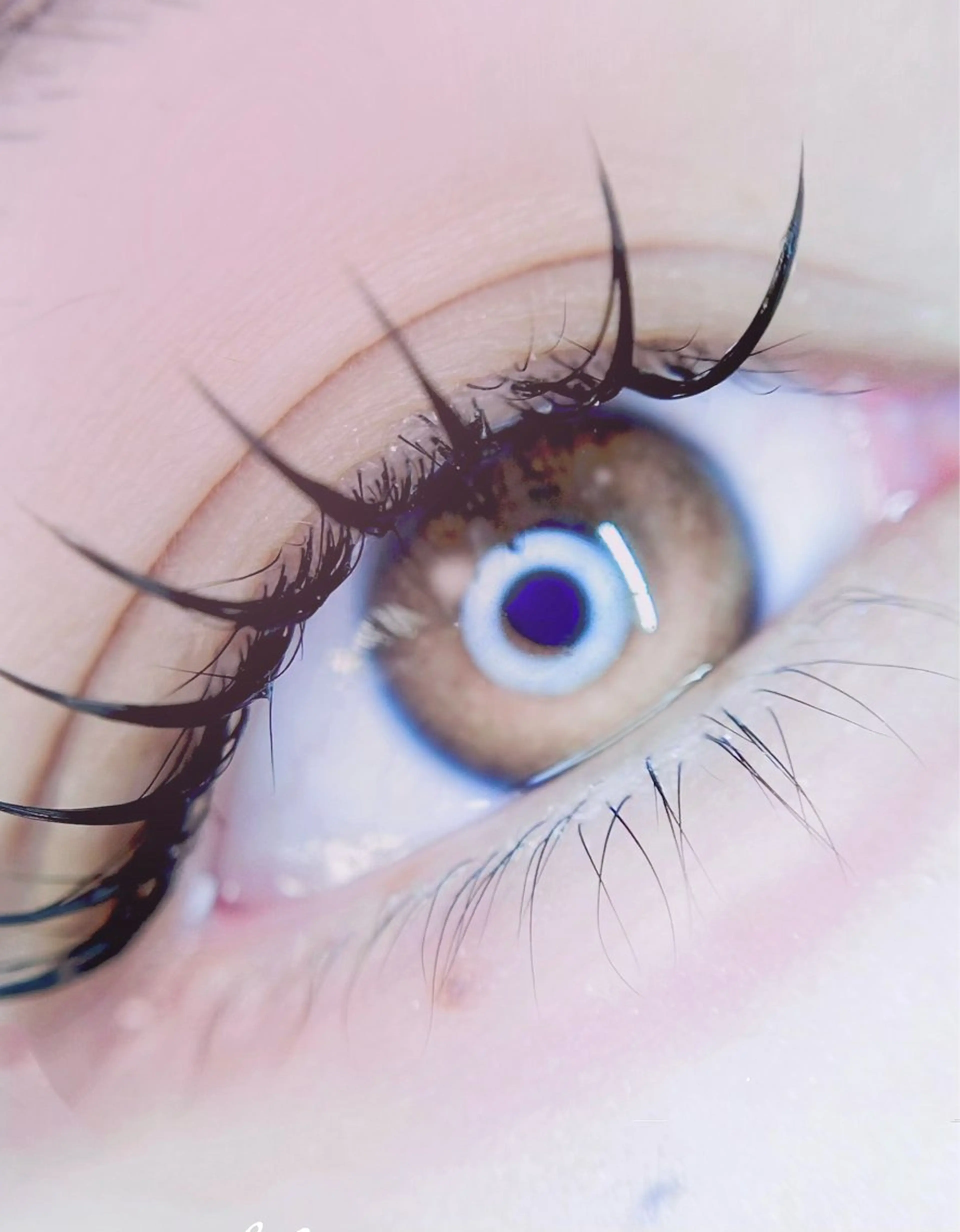 マツエク・マツパ マツエク eyelist. mizukiの眉毛・アイブロウイメージ