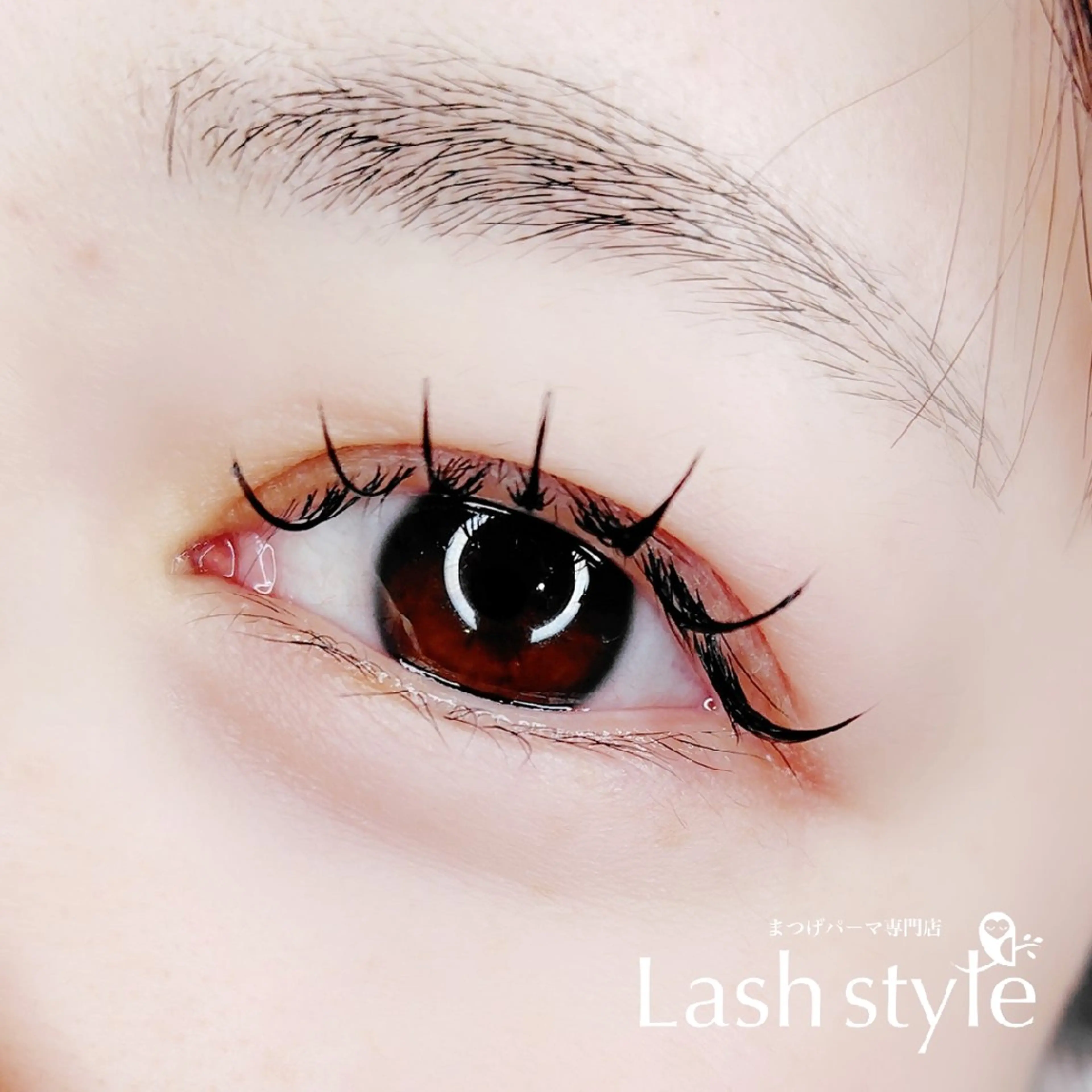 マツエク・マツパ まつげパーマ専門店 Lash style by TONE所属・まつげパーマ専門店 Lash styleの眉毛・アイブロウイメージ