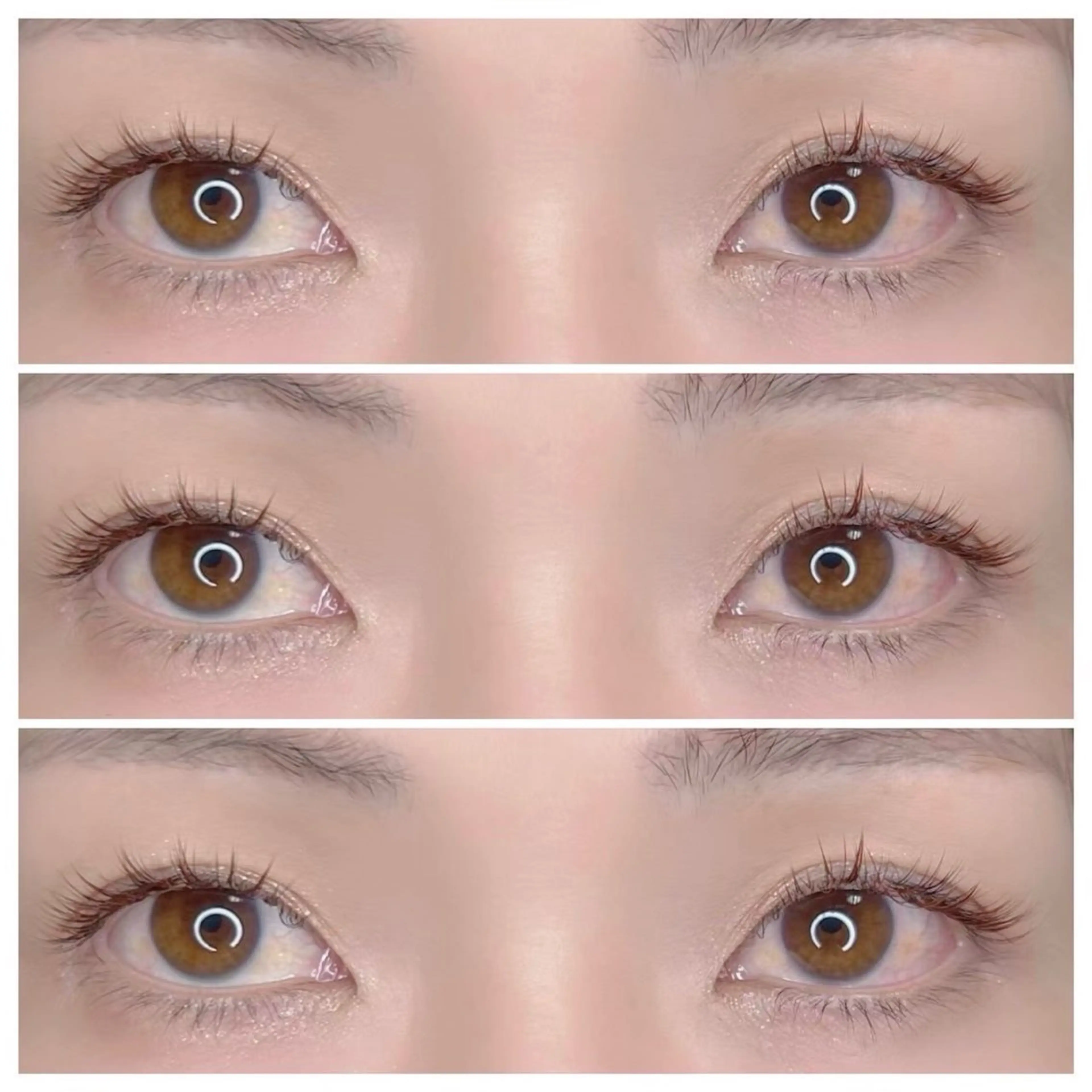 【初回】フラットラッシュ🌻オフ込み🌻140本🌻の写真