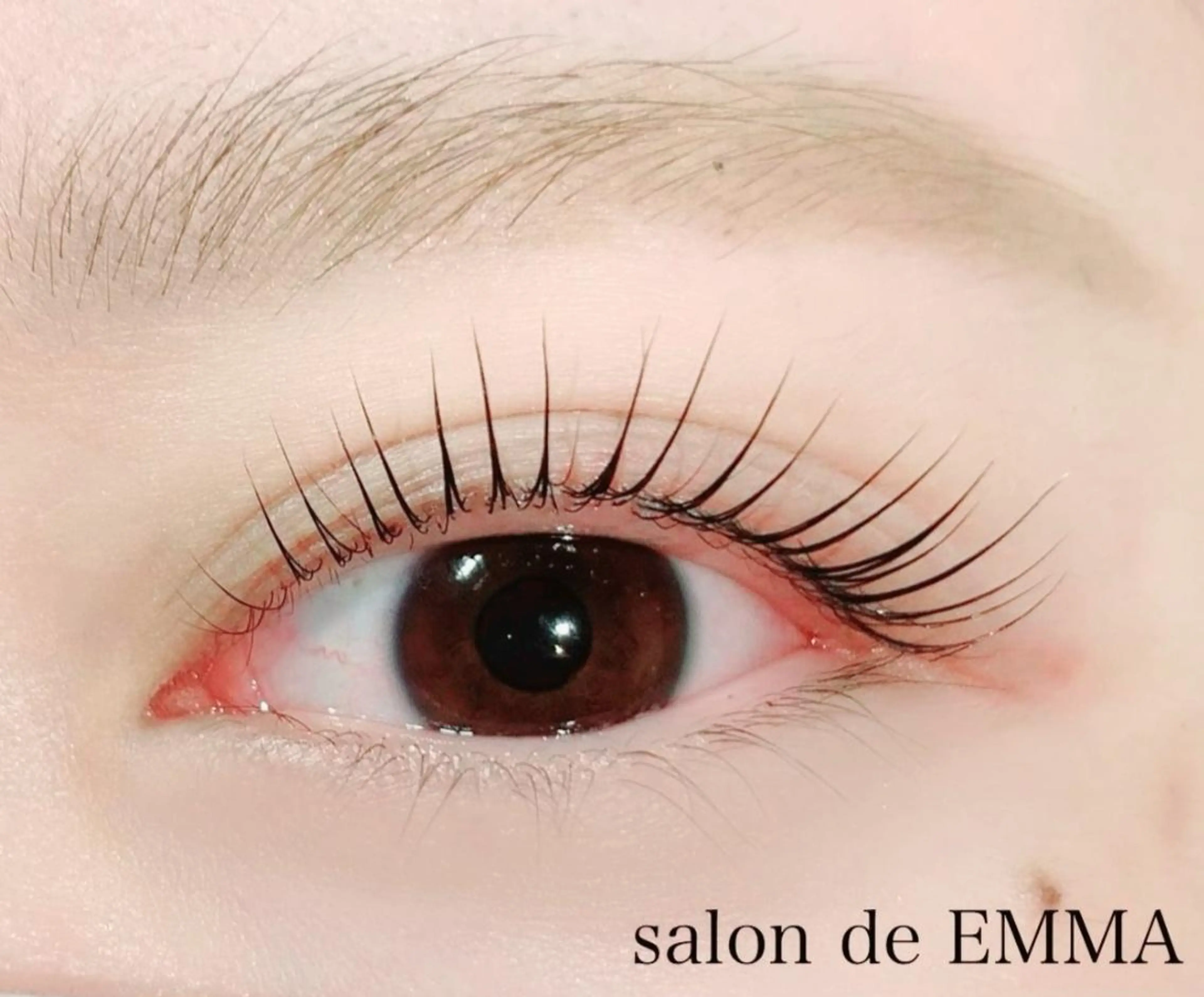 マツエク・マツパ 束感まつ毛 マツパ EMMA plus．のマツエク・マツパデザイン