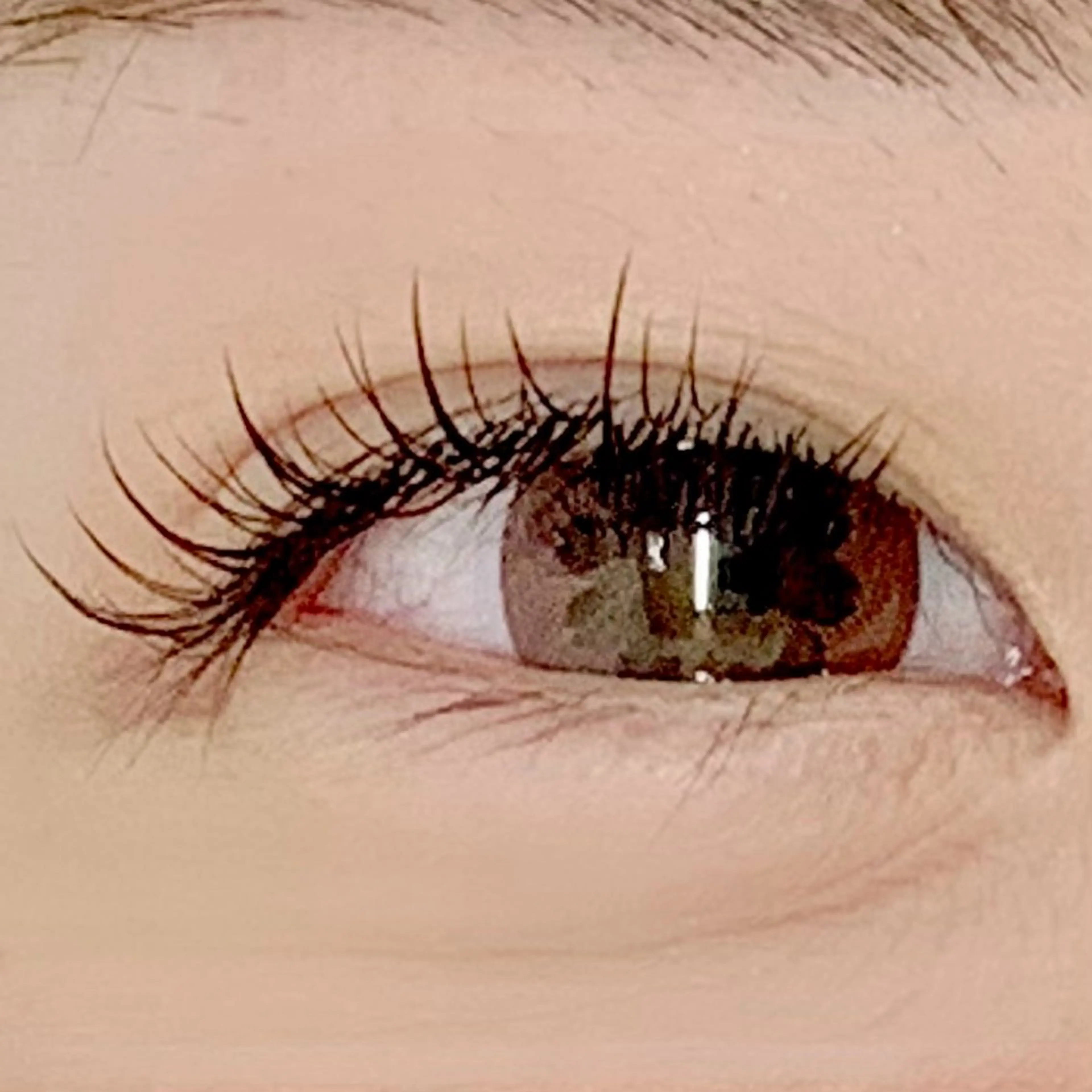 マツエク・マツパ ケラチンラッシュリフト ブラウンラッシュ カラーマツエク Jカール ナチュラル マツエク BellFlower Aki（眉・まつげ）のマツエク・マツパデザイン