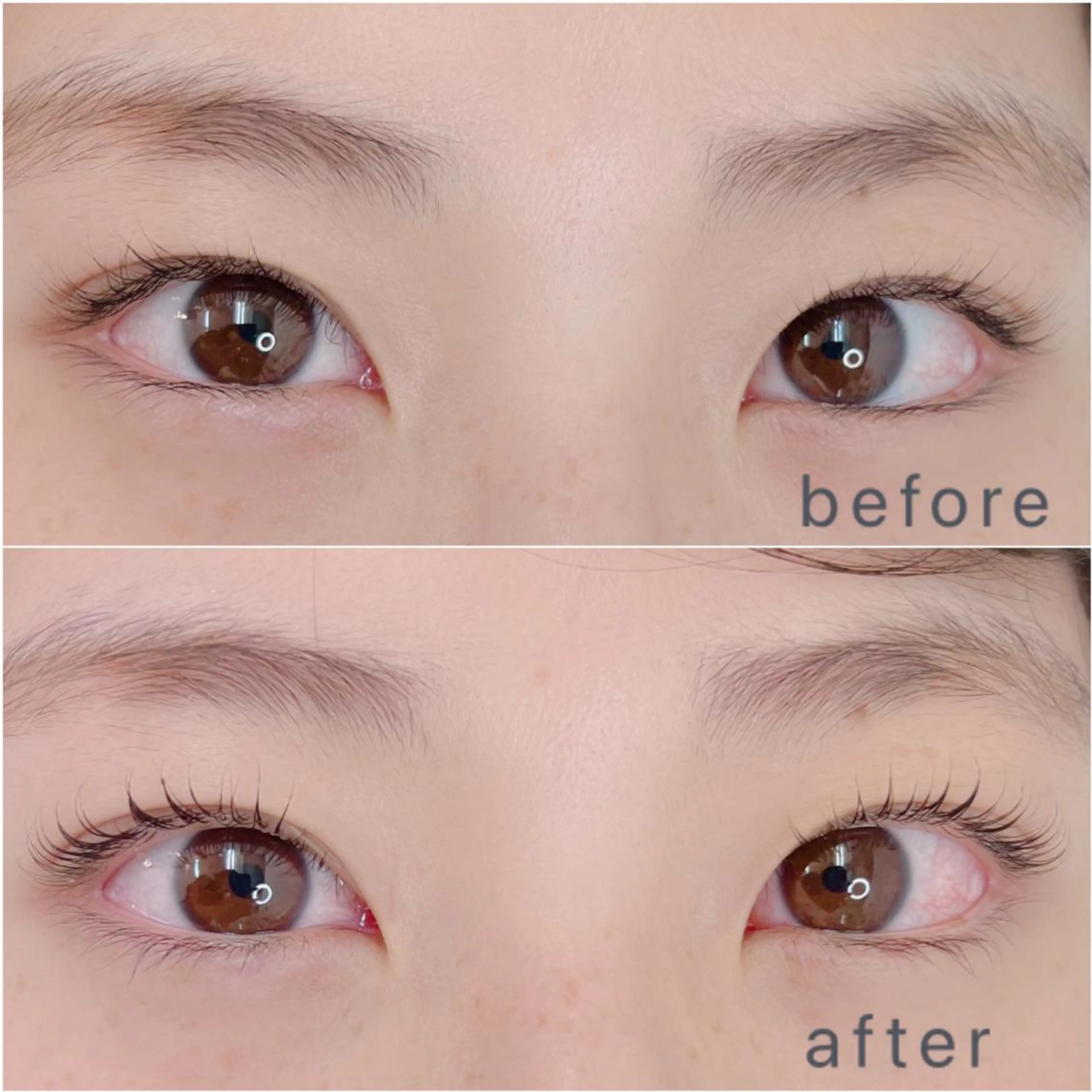 マツエク・マツパ アイブロウ メンズアイブロウ 眉毛ワックス脱毛 キュート マツパ 眉/まつ毛パーマ専門 Ochi🫧の眉毛・アイブロウイメージ