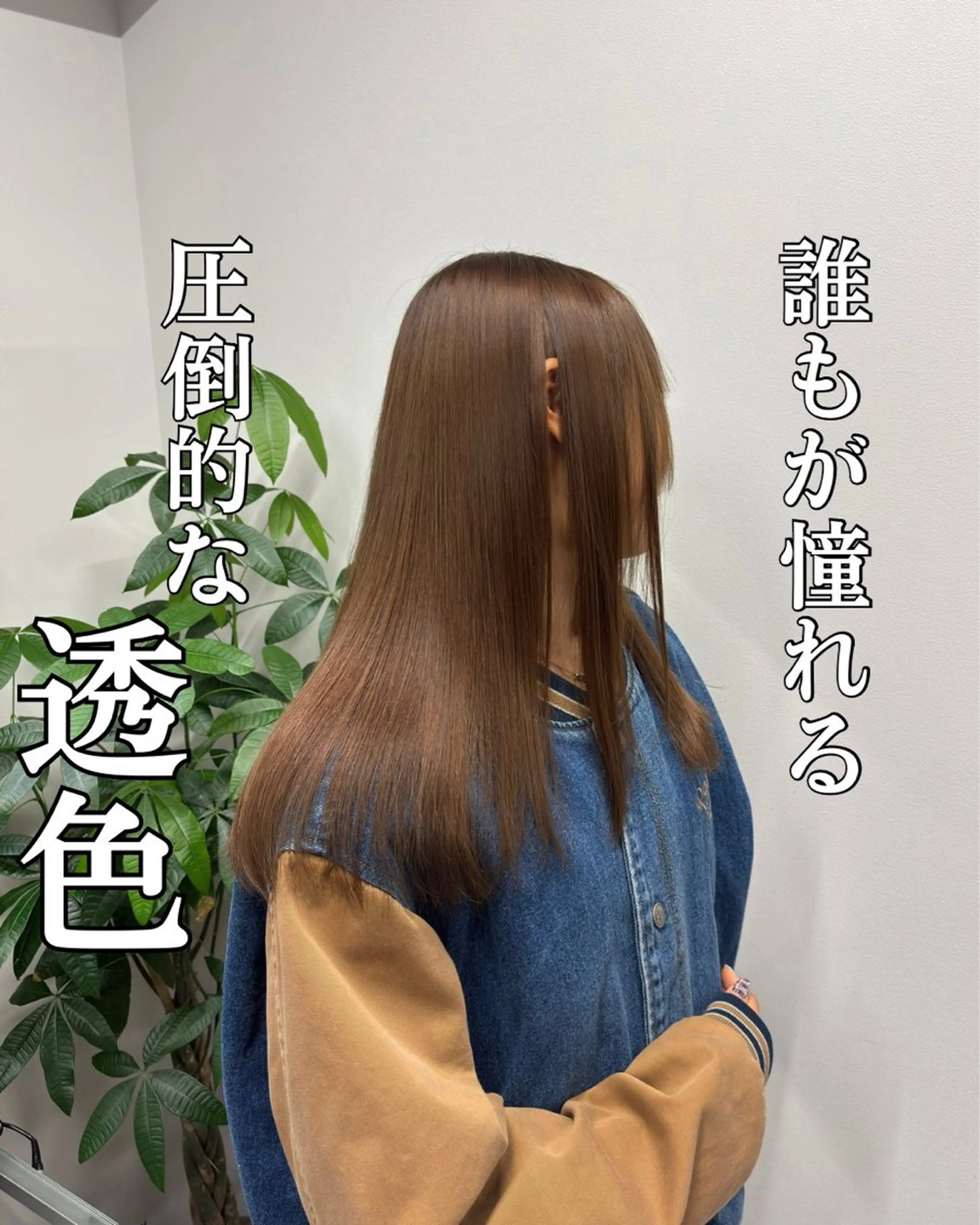 セミロング カラー 髪質改善 縮毛矯正 トリートメント 髪質改善/縮毛矯正 /美髪カラー/こてのヘアスタイル