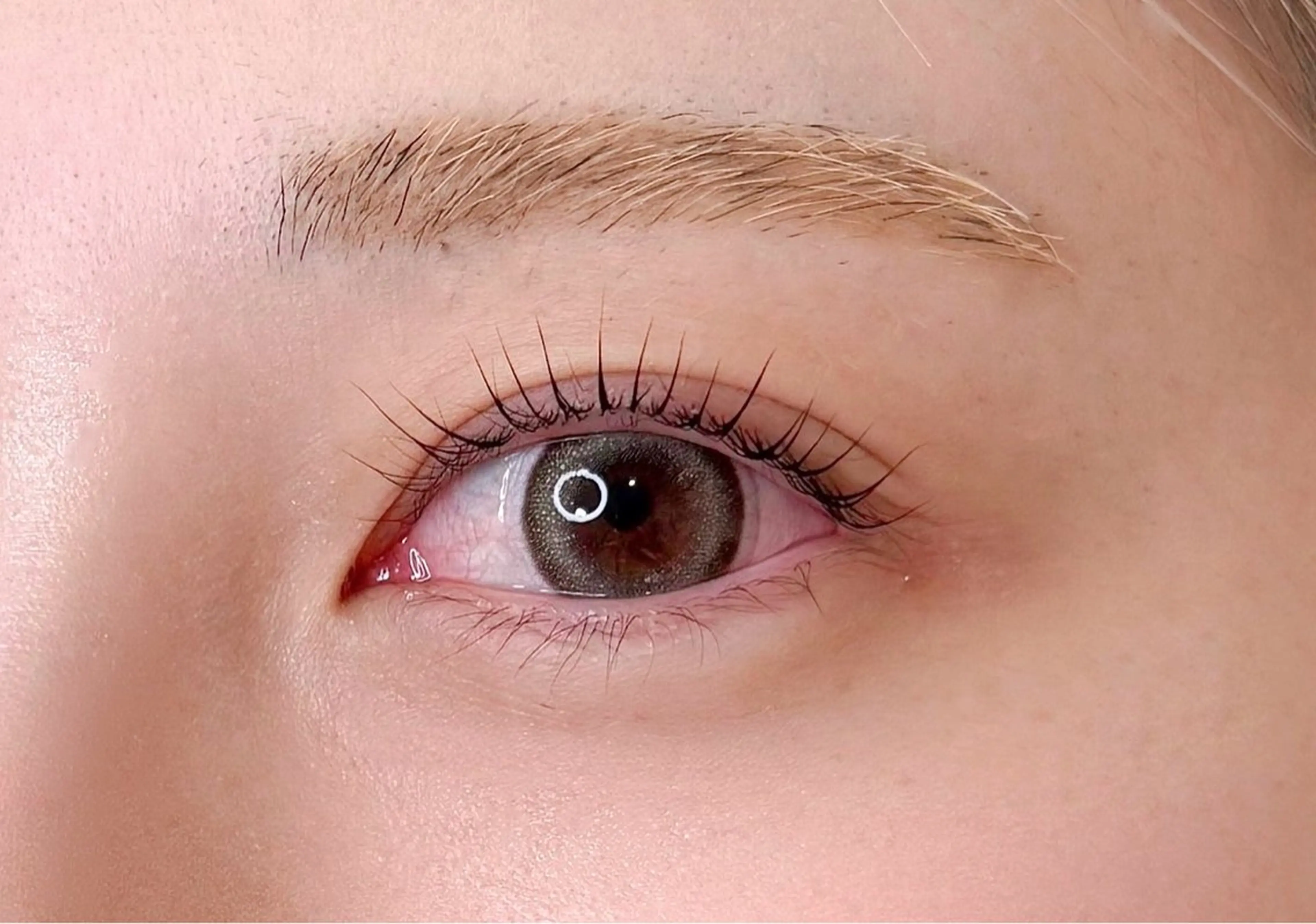 まつげパーマモデル(31日15:00~)の写真