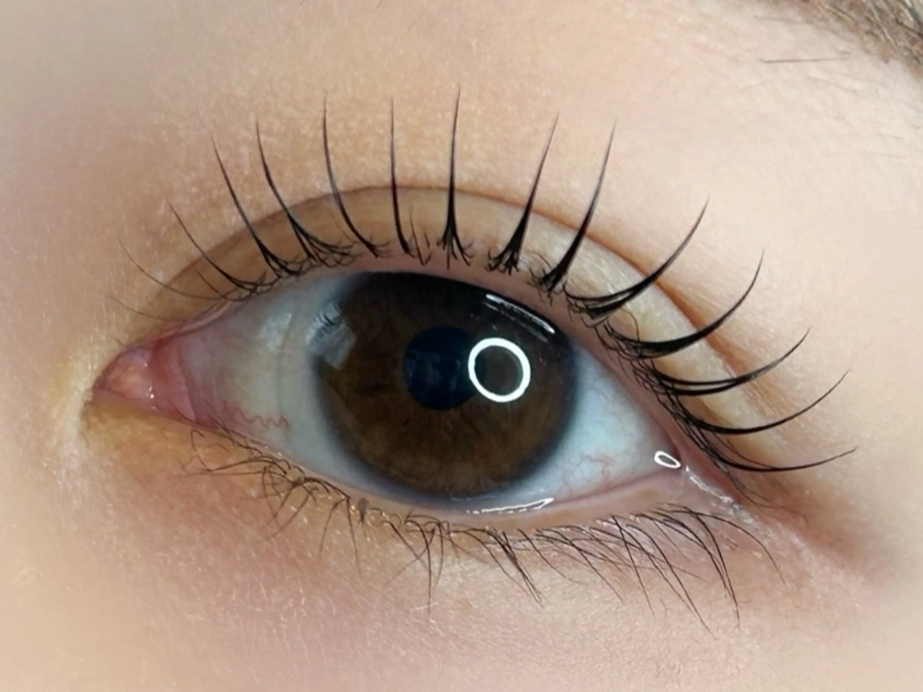 マツエク・マツパ マツパ Eyelash Salon Meili所属・Sayo Naraharaのマツエク・マツパデザイン