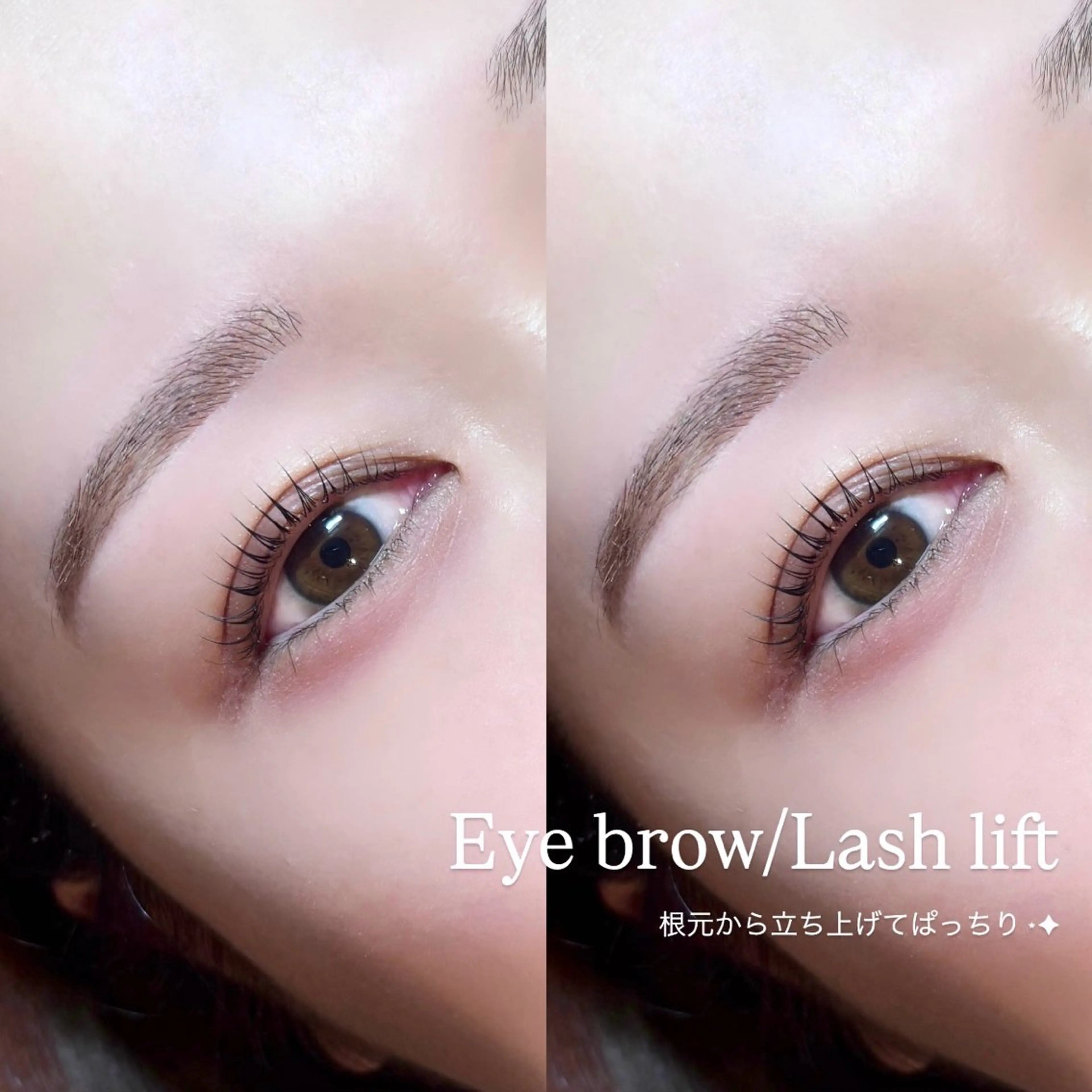 マツエク・マツパ マツパ REAL Moca🪽のマツエク・マツパデザイン