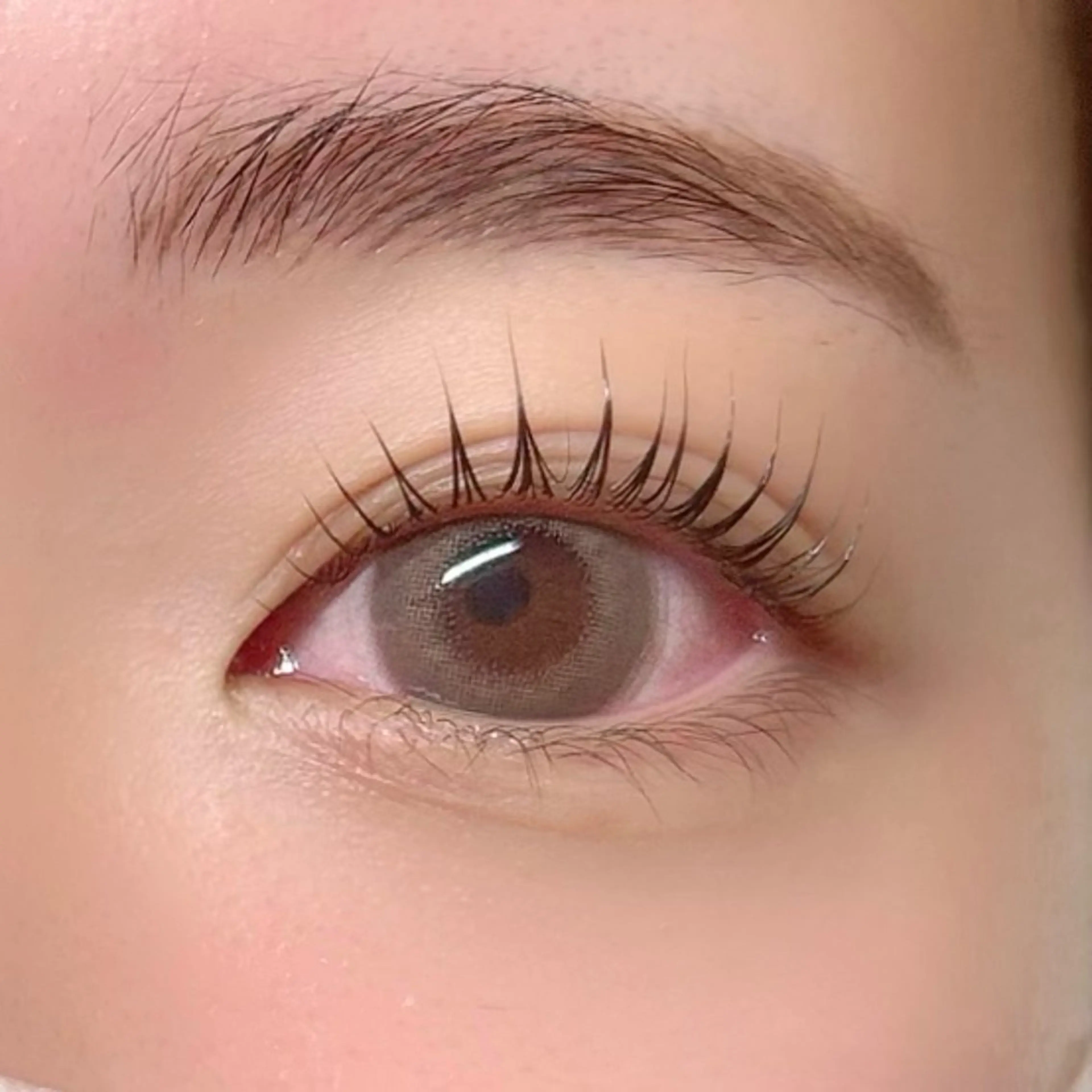 🌷ご新規様🌷【目力UP・根本から立ち上げ】パリジェンヌ🤍の写真