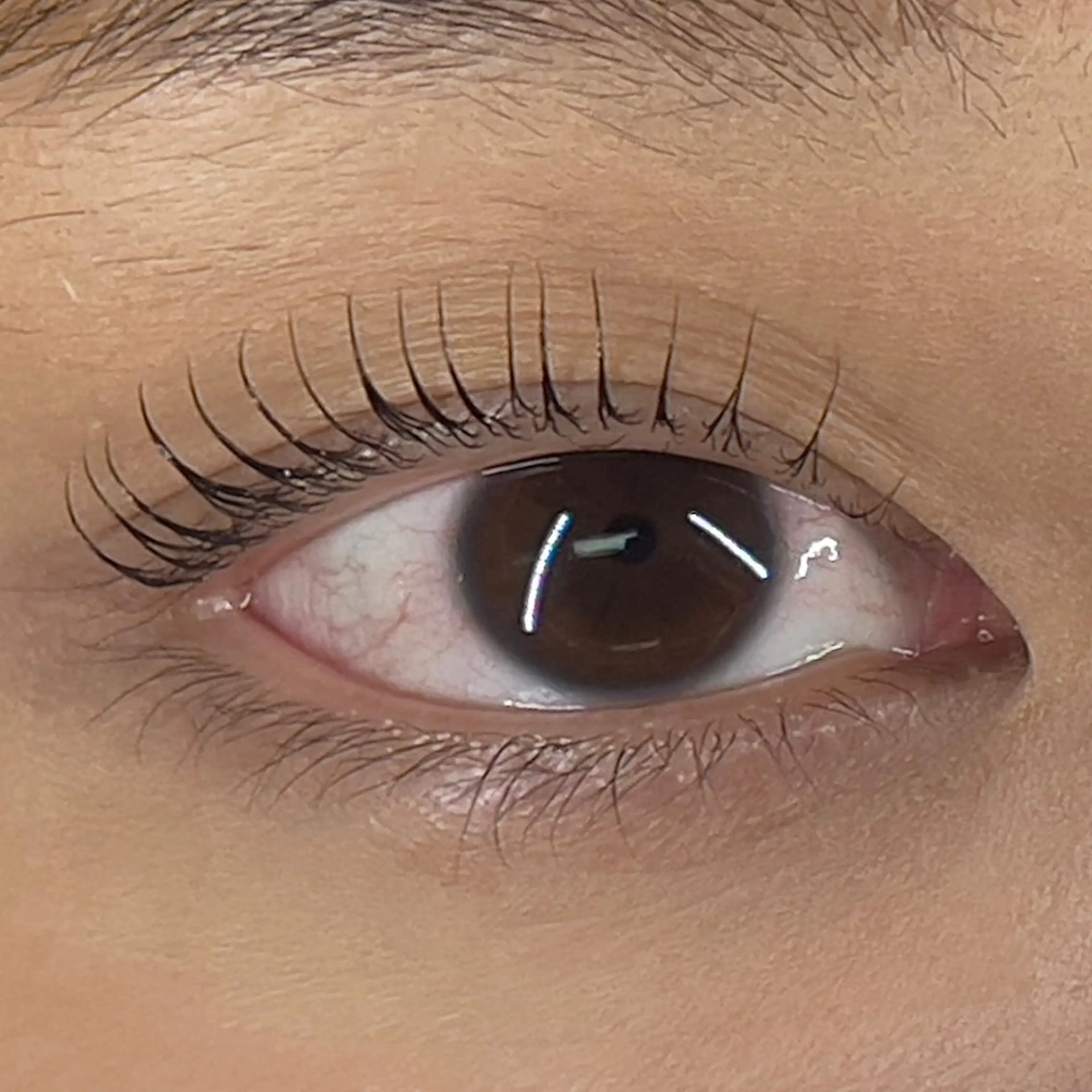 マツエク・マツパ Eyelash & Nail 福岡天神　MAXKELLY所属・オ ノのマツエク・マツパデザイン