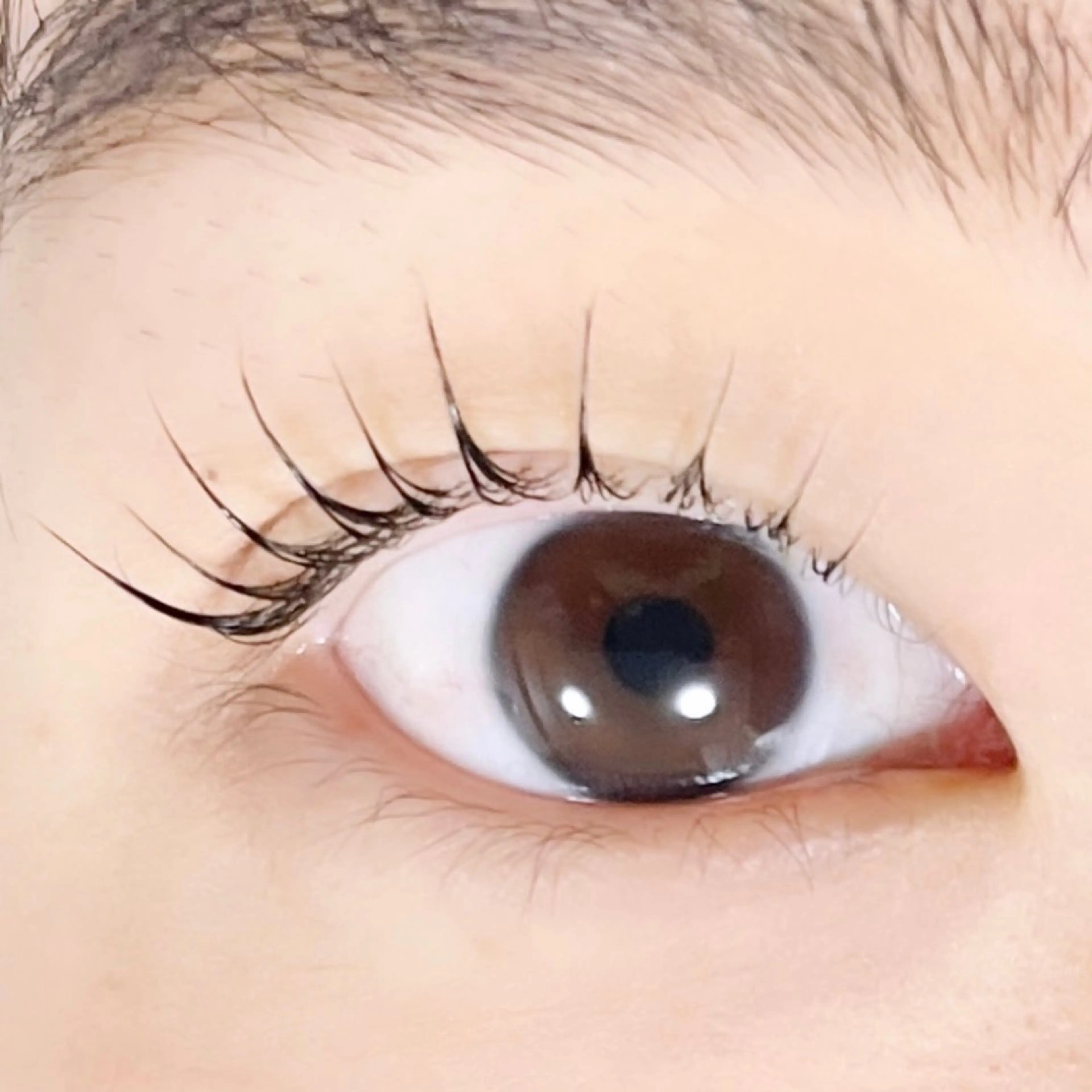 マツエク・マツパ TAKEO🖤 マリーテレジア藤が丘のマツエク・マツパデザイン