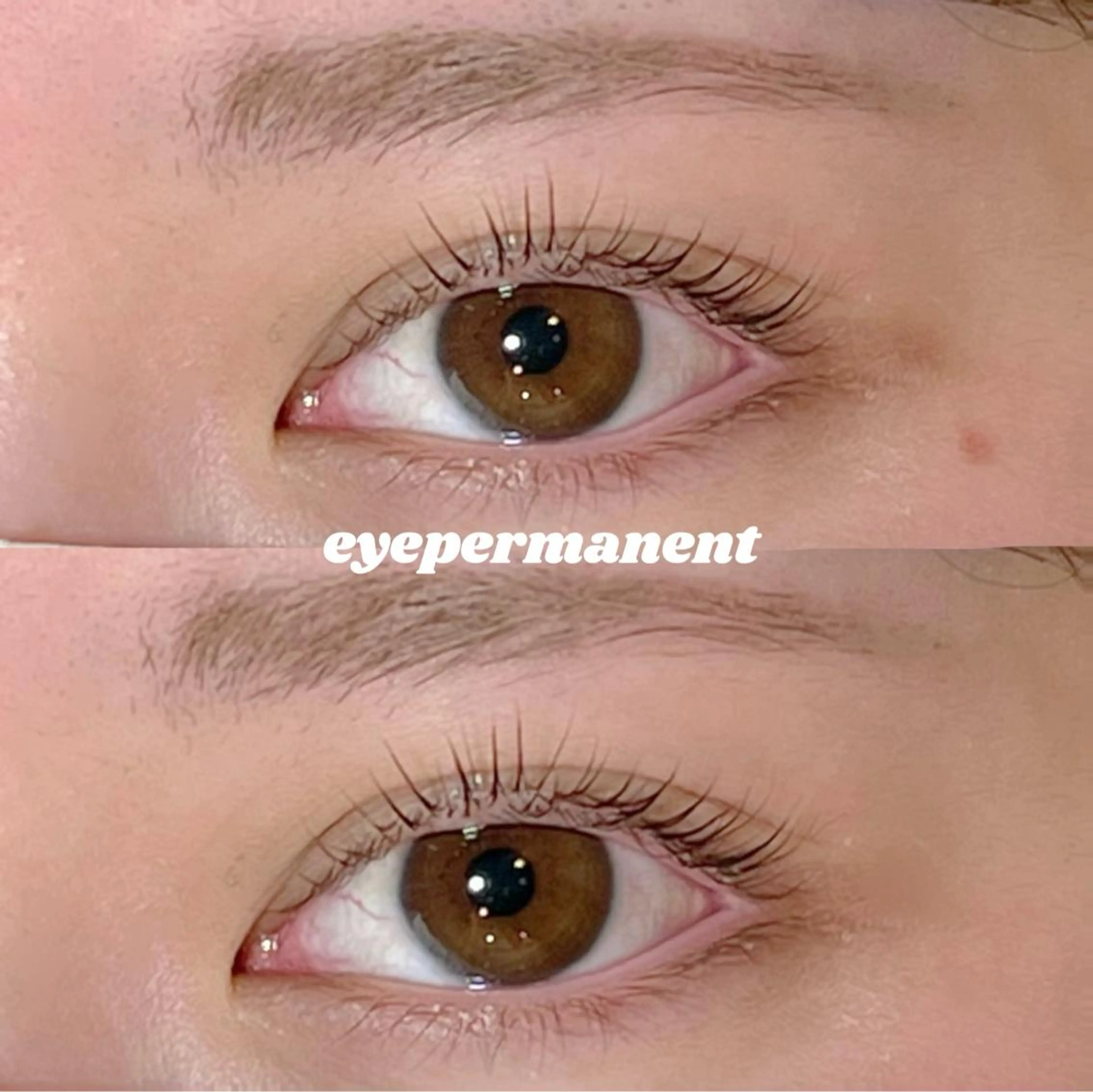 マツエク・マツパ マツパ mona 🎀韓国まつパ/眉毛のマツエク・マツパデザイン