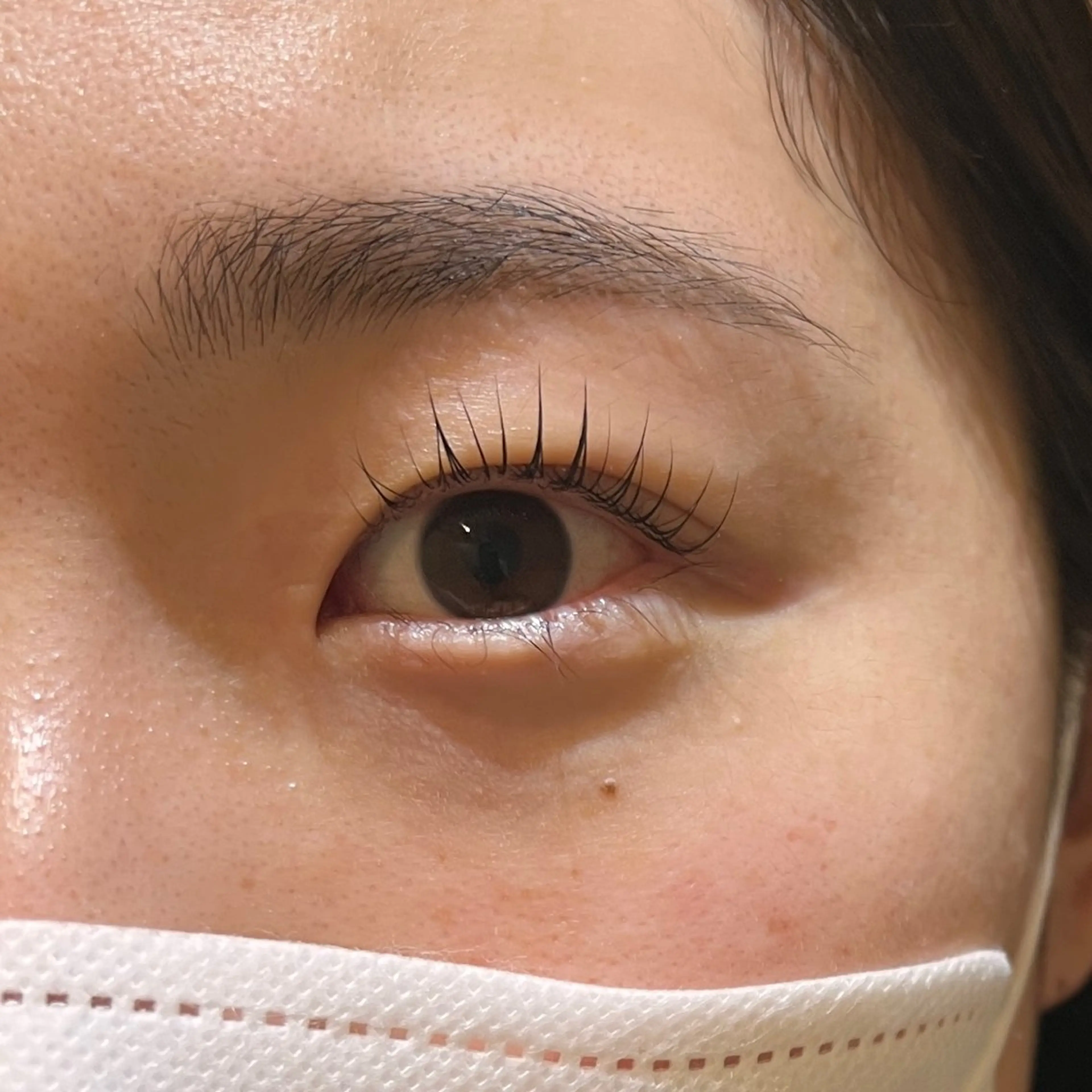 マツエク・マツパ carrefour Noa下北沢所属・Noa 夏目🎀🥣の眉毛・アイブロウイメージ