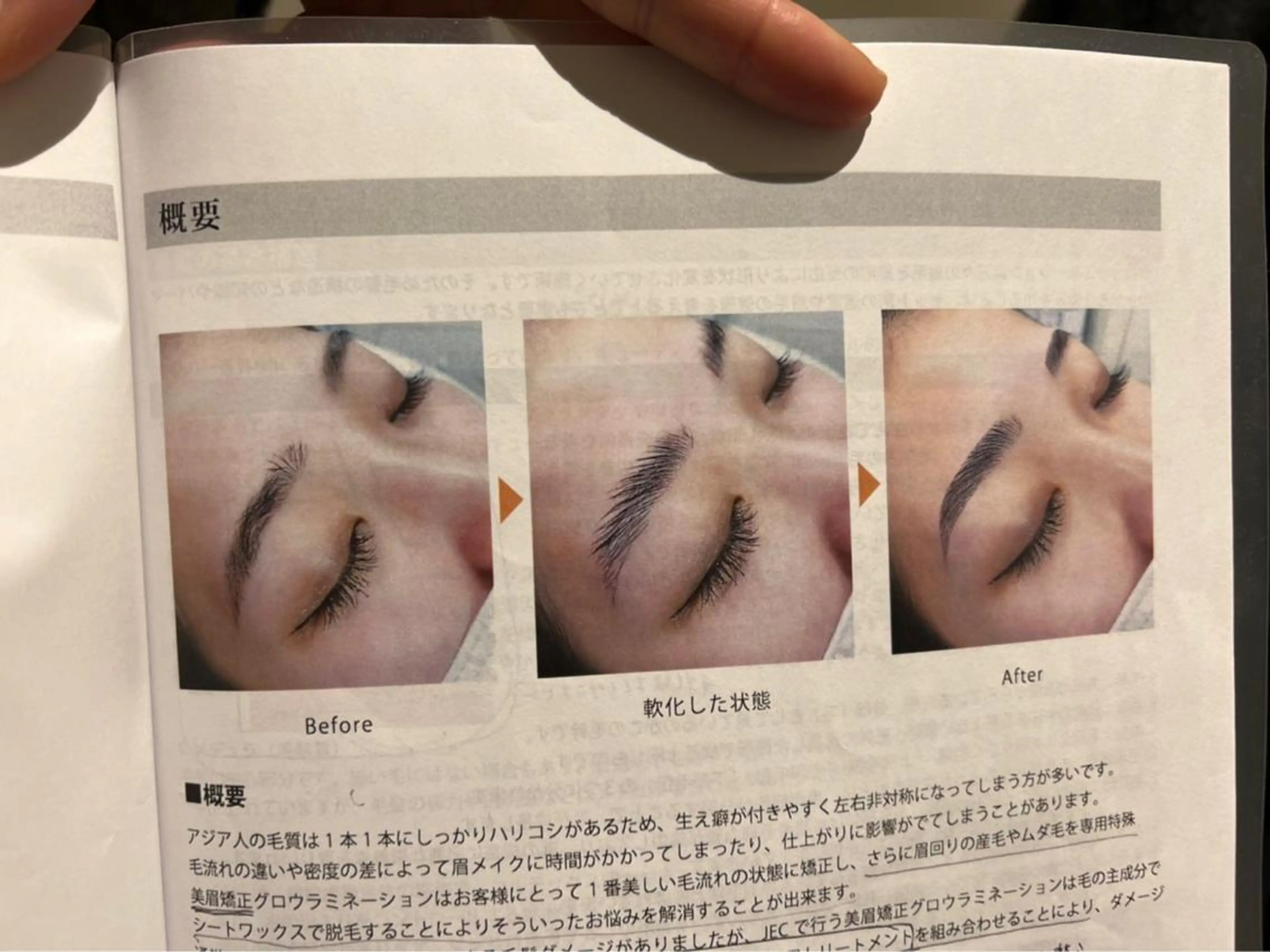 アイブロウ Eyelash  Salon  Camellia所属・カメリア ワダのマツエク・マツパデザイン