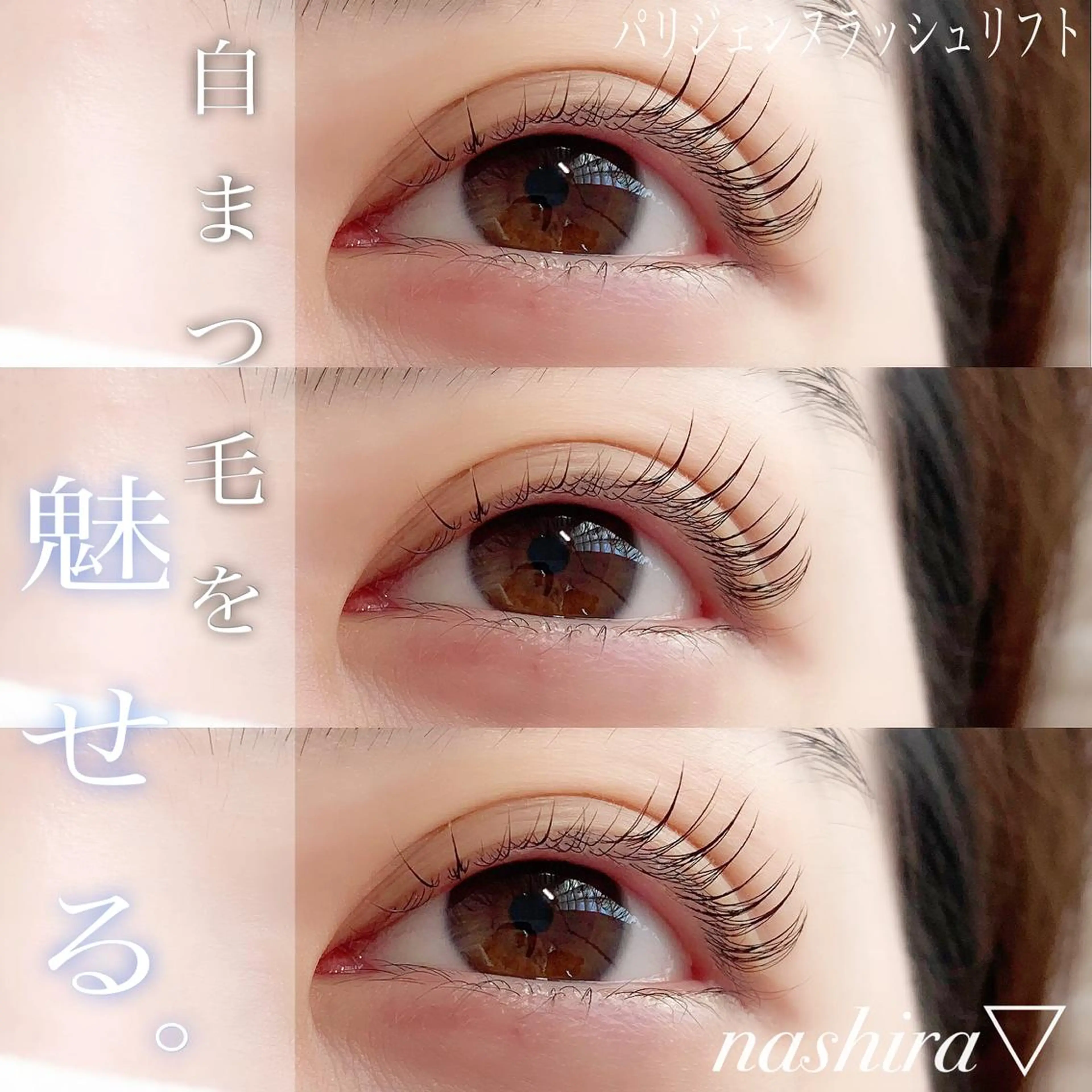 マツエク・マツパ パリジェンヌラッシュリフト 一重×まつ毛パーマ マツパ nashira -ナシラ- 恵比寿のマツエク・マツパデザイン