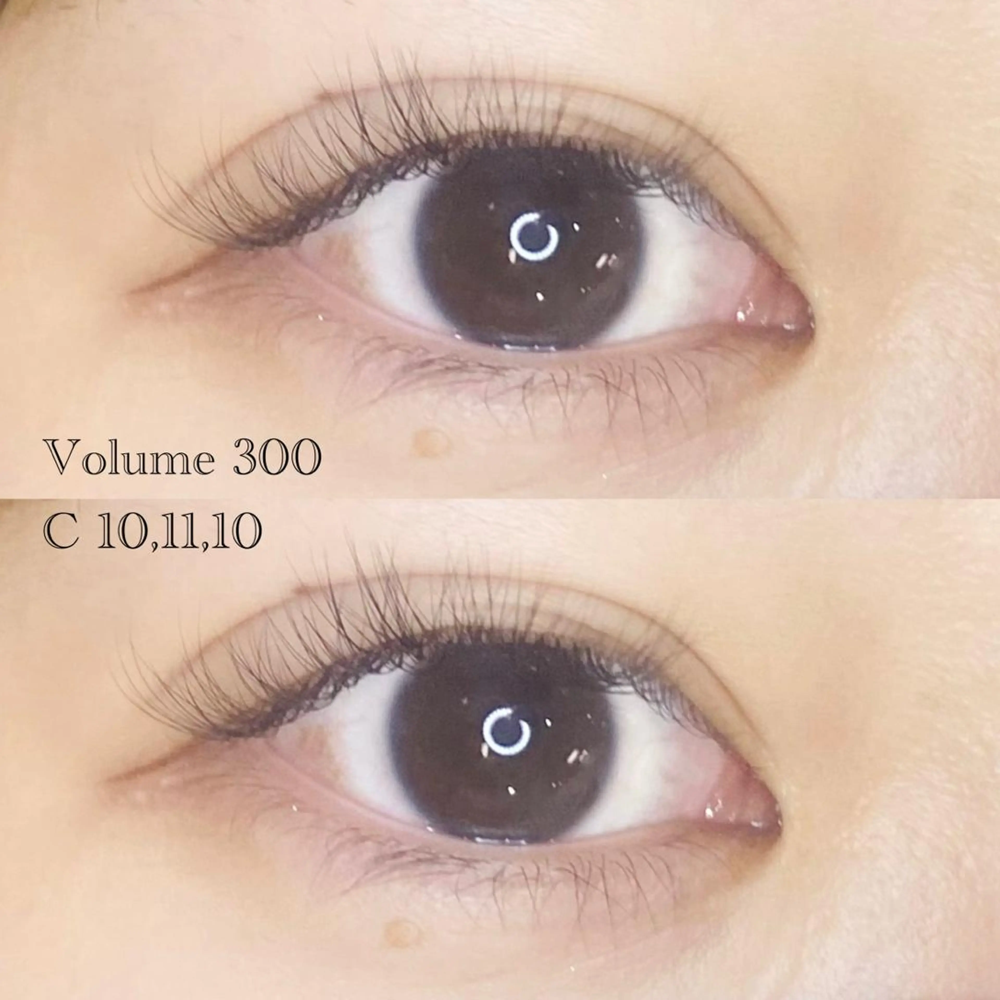 マツエク・マツパ Cカール ボリュームラッシュ OLIVIA 郷家 ♡のマツエク・マツパデザイン