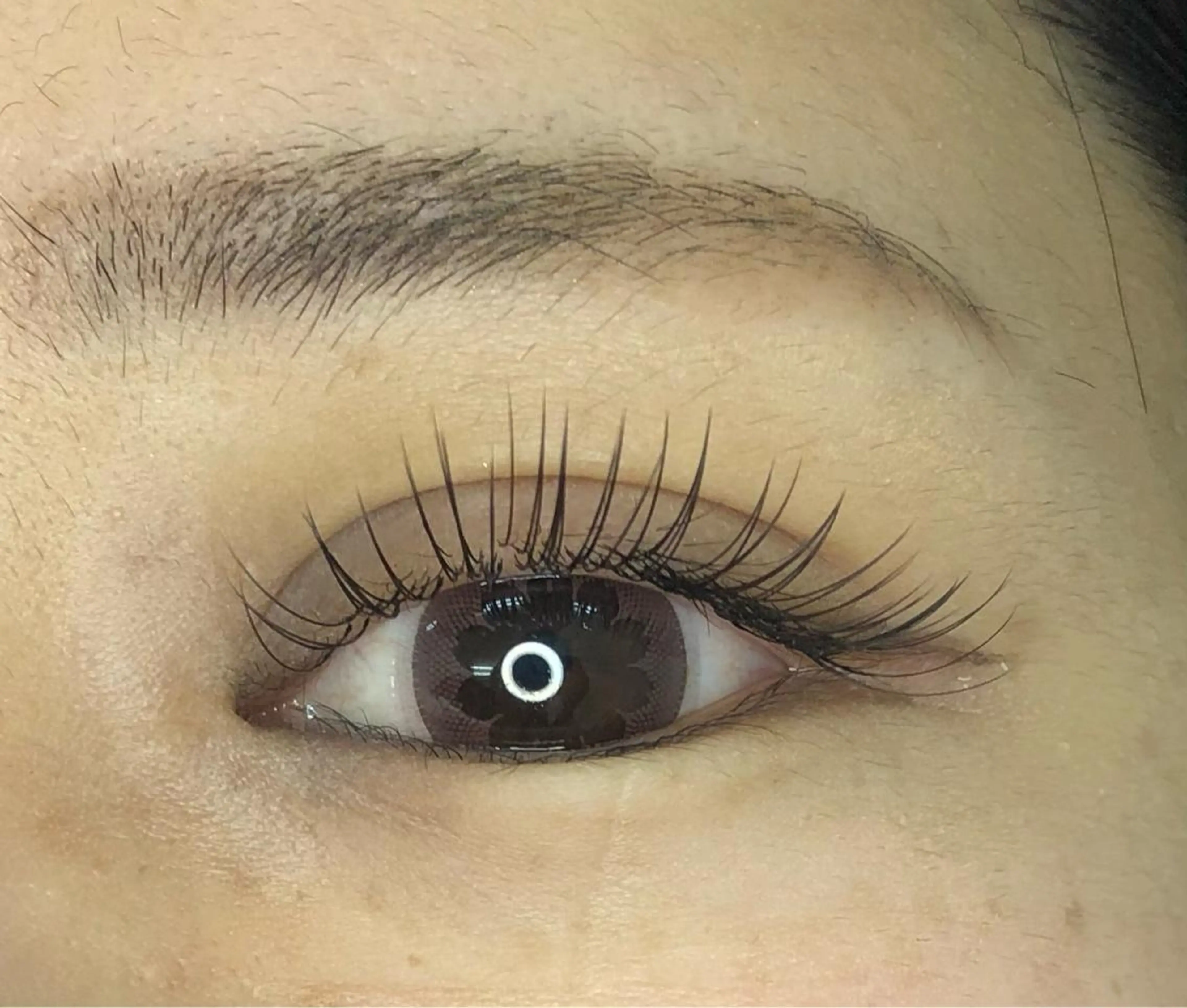 💫ミニモ限定💫👁️アップワードラッシュ130本まで（コーティング付き）の写真