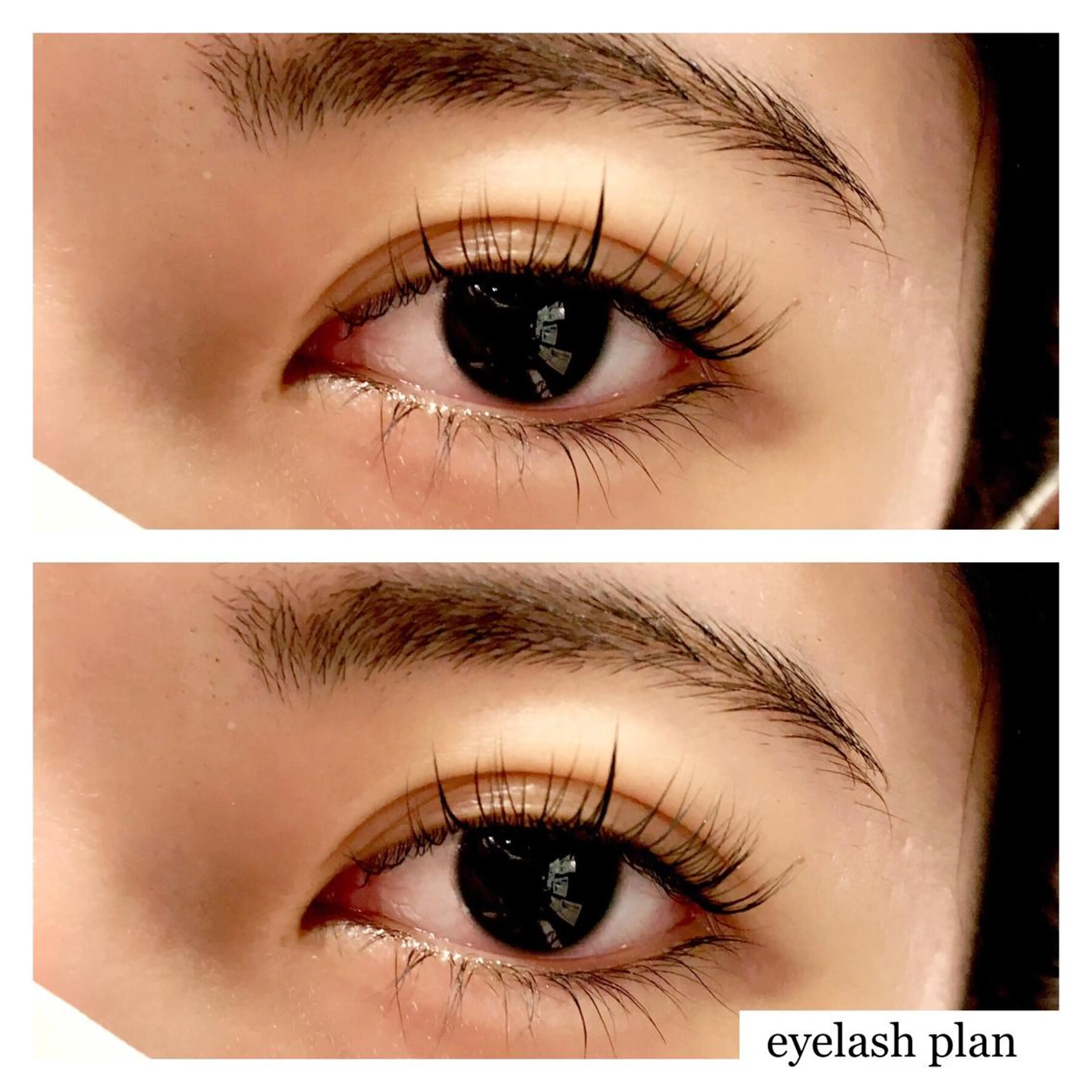 マツエク・マツパ マツパ 《eyelash ｉｉｔｅ》森のマツエク・マツパデザイン