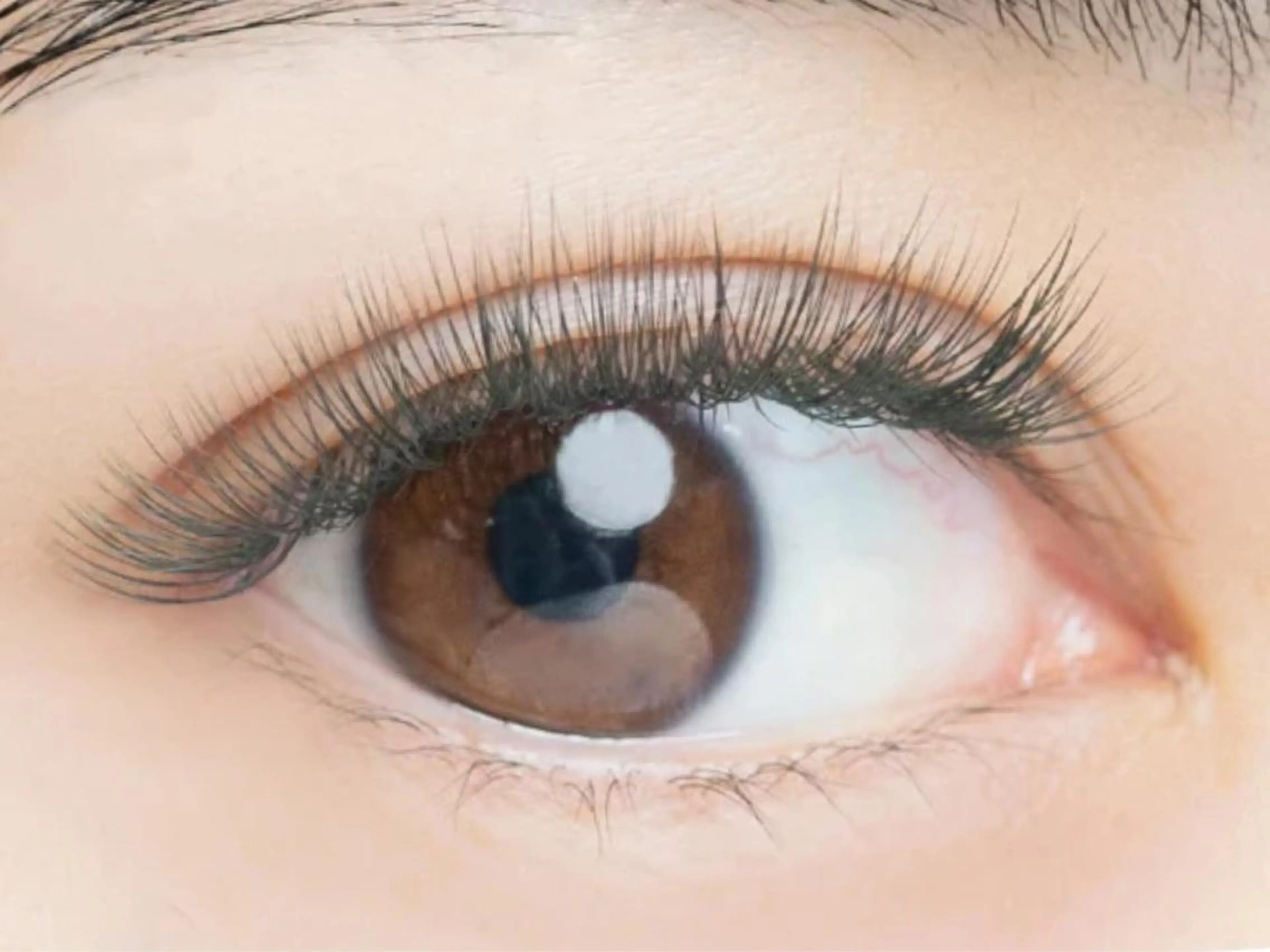 マツエク・マツパ ボリュームラッシュ Luana… Noriko🕶のマツエク・マツパデザイン