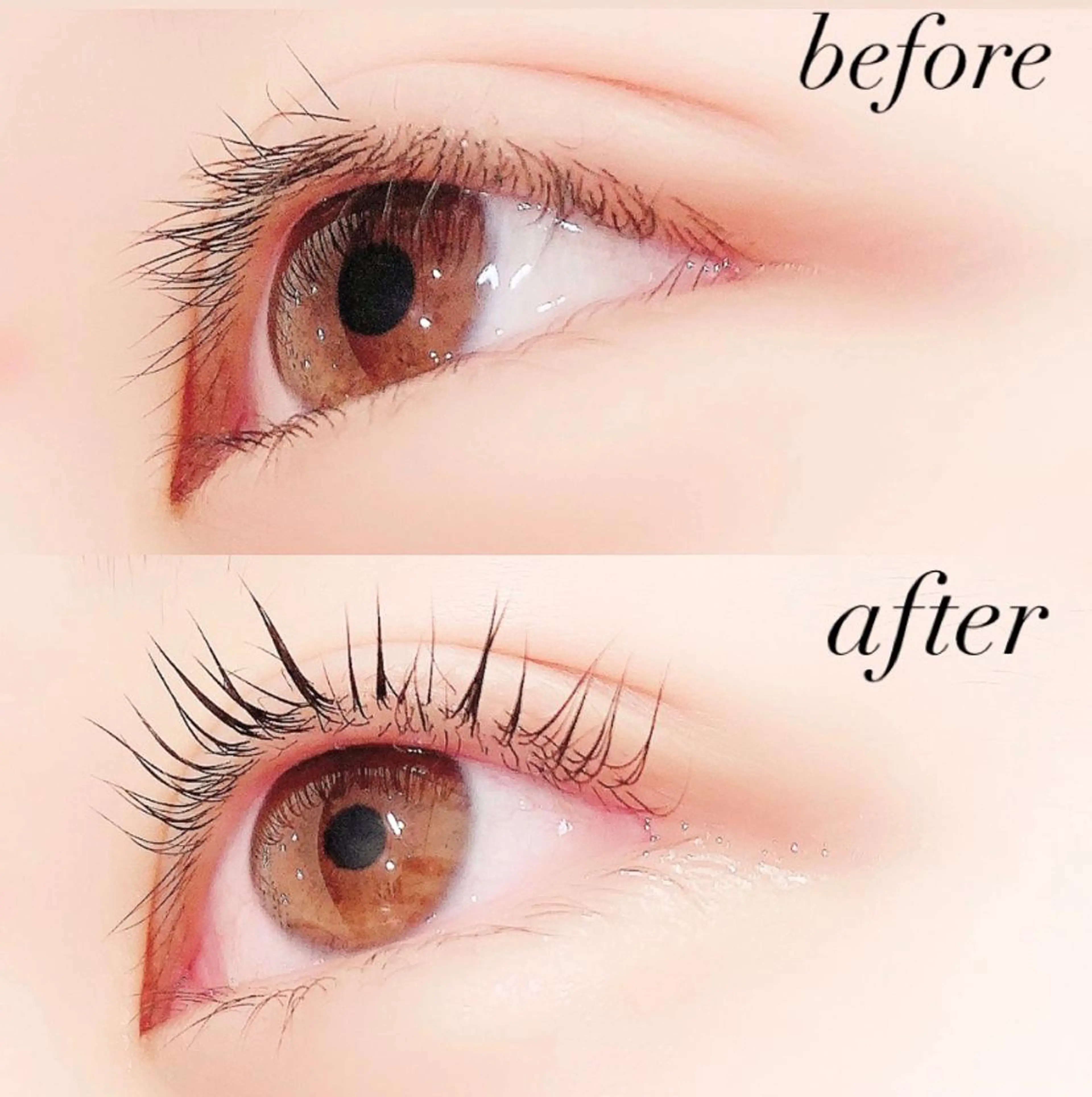 マツエク・マツパ 一重×まつ毛パーマ Lanhr所属・【Lanhr】 🕊aya🕊のマツエク・マツパデザイン