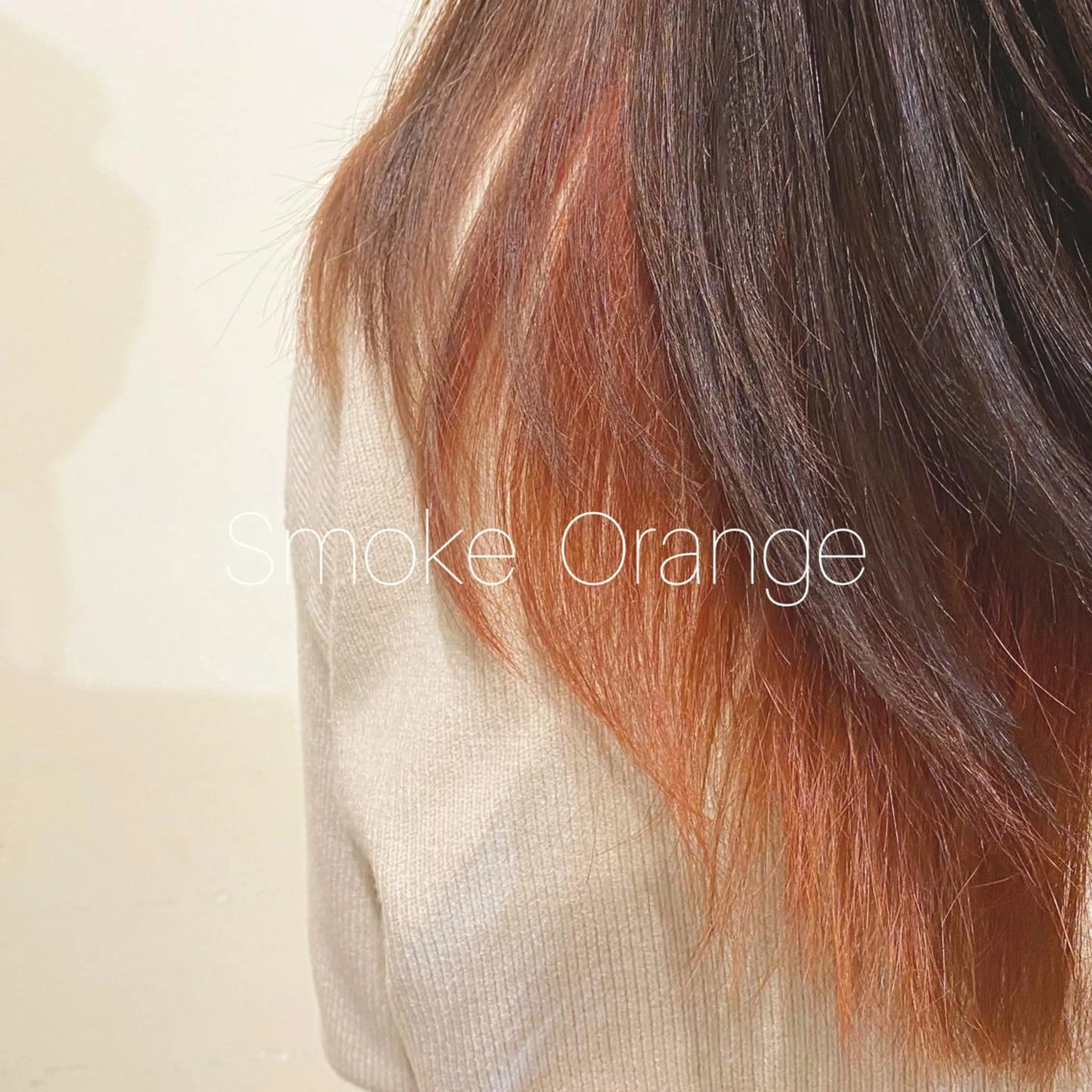 セミロング カラー ヘアカラー トリートメント 𓅰なかがわ ふみな𓅯のヘアスタイル