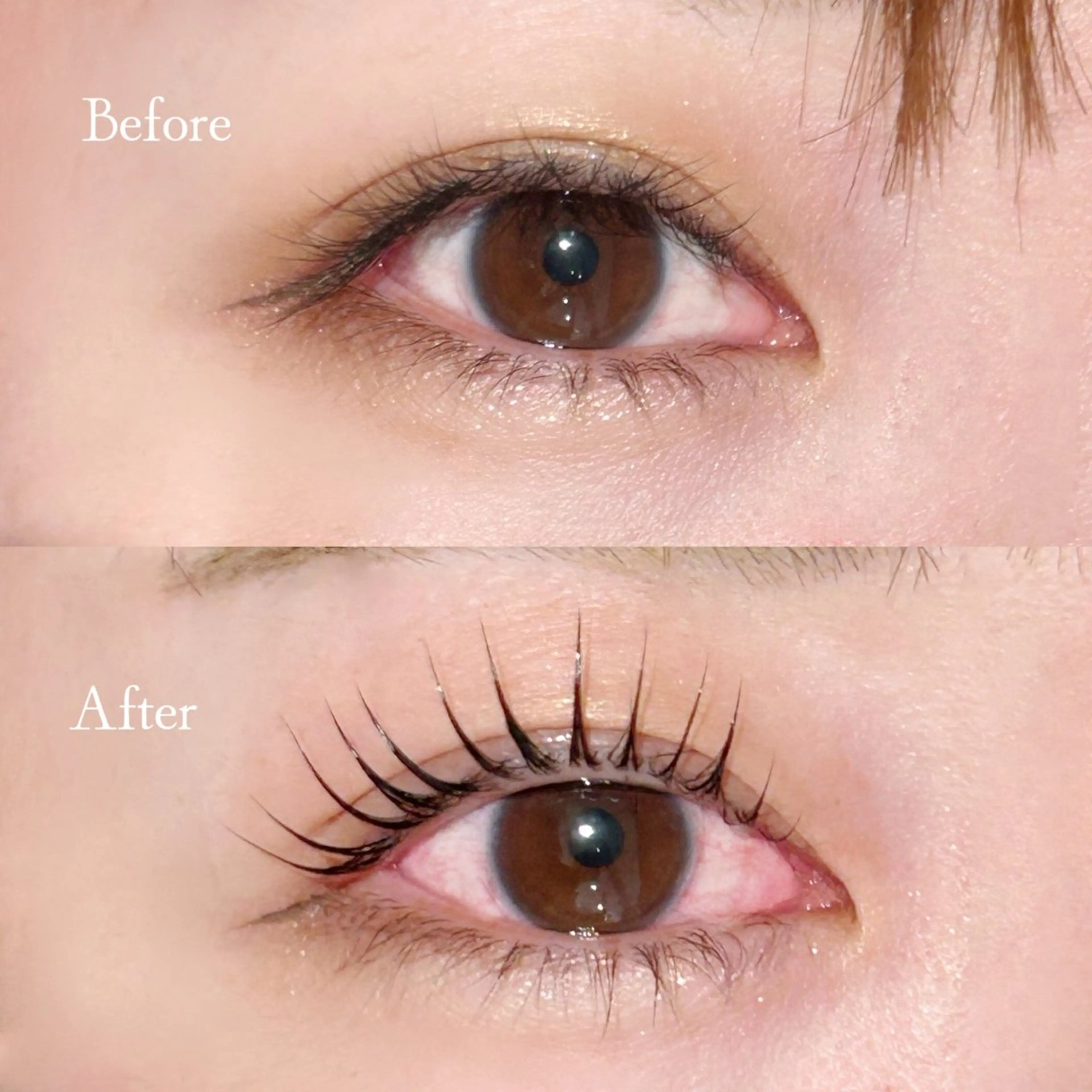 マツエク・マツパ H eyelash/ 吉祥寺/もえのマツエク・マツパデザイン