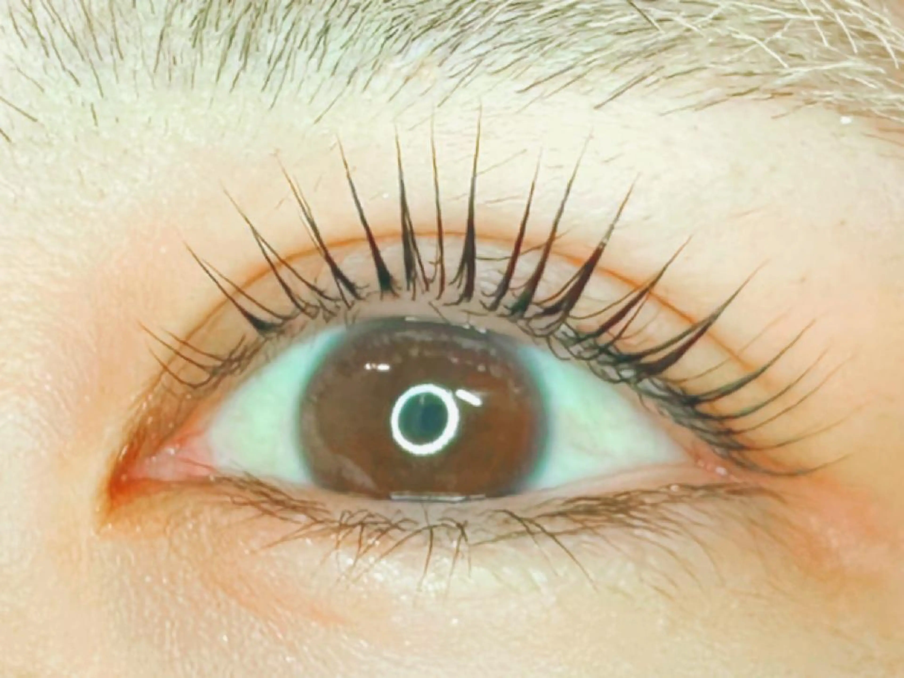 マツエク・マツパ パリジェンヌラッシュリフト 𝐉𝐎𝐋𝐈 アイリスト ❤︎のマツエク・マツパデザイン